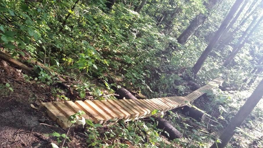 A wooden boardwalk or pathway winding through a dense forest, surrounded by lush green foliage and trees. The pathway is elevated, providing a clear route over fallen logs and uneven ground. Sunlight filters through the trees, illuminating the natural setting. Bayview & Stouffville mountain bike trail.