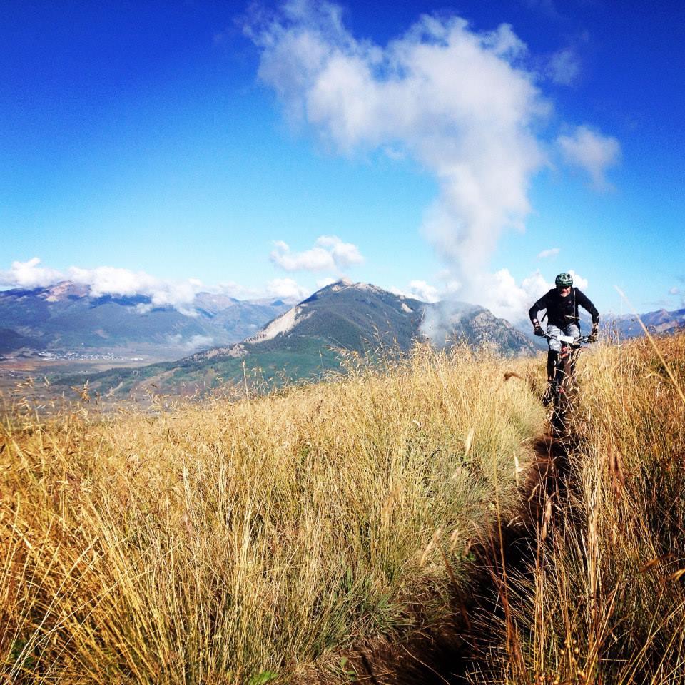 A mountain biker riding along a trail surrounded by tall golden grass, with expansive blue skies and mountains in the background. Fluffy clouds float above, adding to the scenic outdoor atmosphere. Trail #409.5A mountain bike trail.