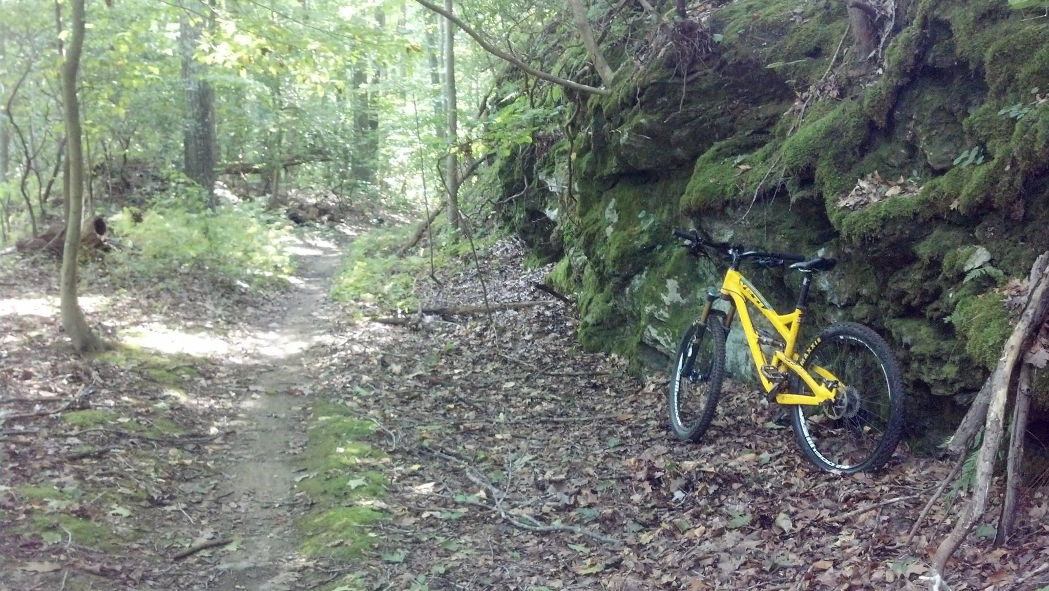 A mountain bike leaning against a moss-covered rock in a wooded area, with a narrow dirt trail winding through the landscape. Sunlight filters through the trees, casting dappled shadows on the ground covered in leaves and foliage. Gunpowder Falls State Park mountain bike trail.