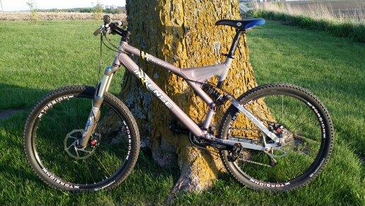 Intense tracer: A mountain bike leaning against a large tree, set in a grassy area during daylight. The bike features a silver and gray frame with black and red tires, showcasing its rugged design for off-road cycling.