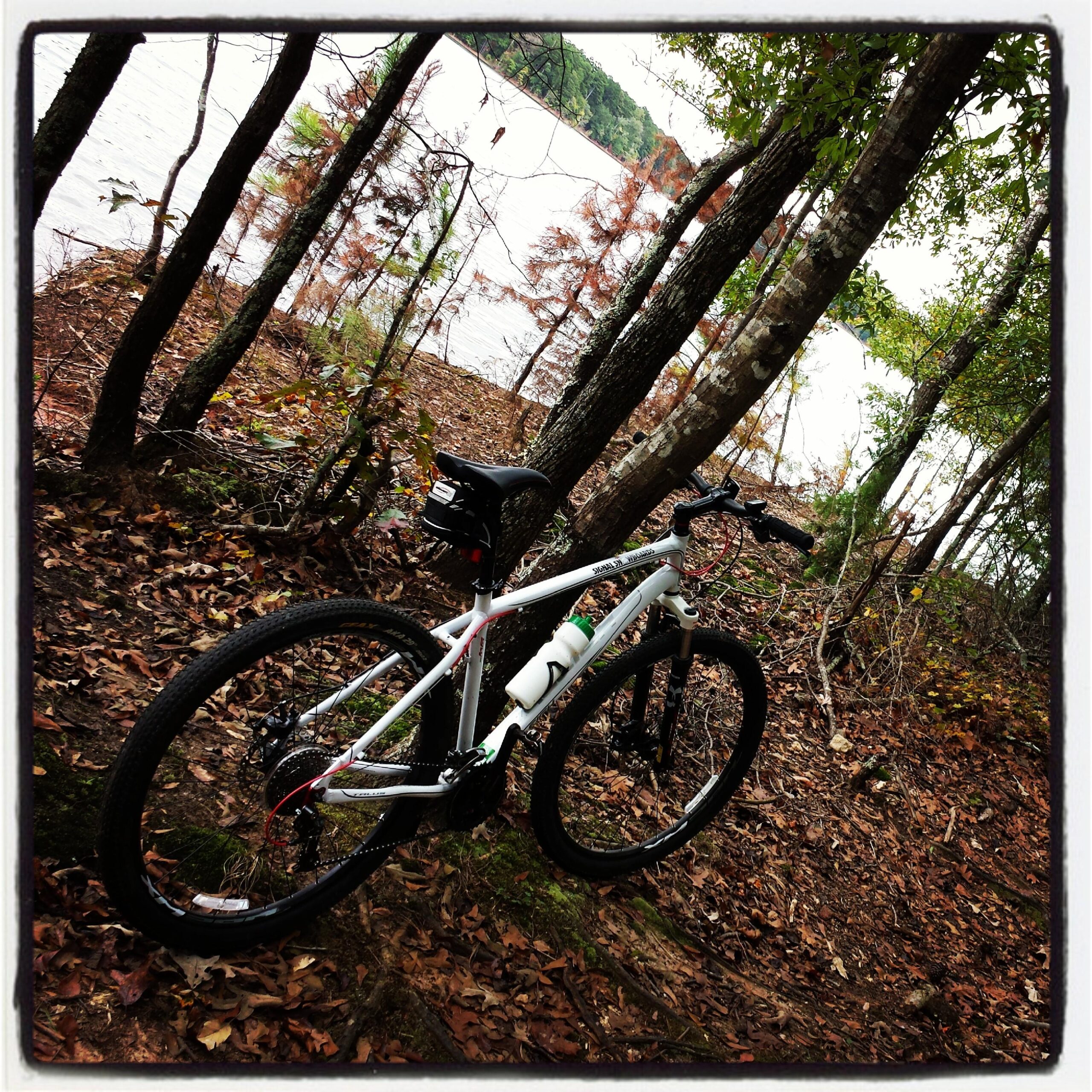 raleigh talus 29r