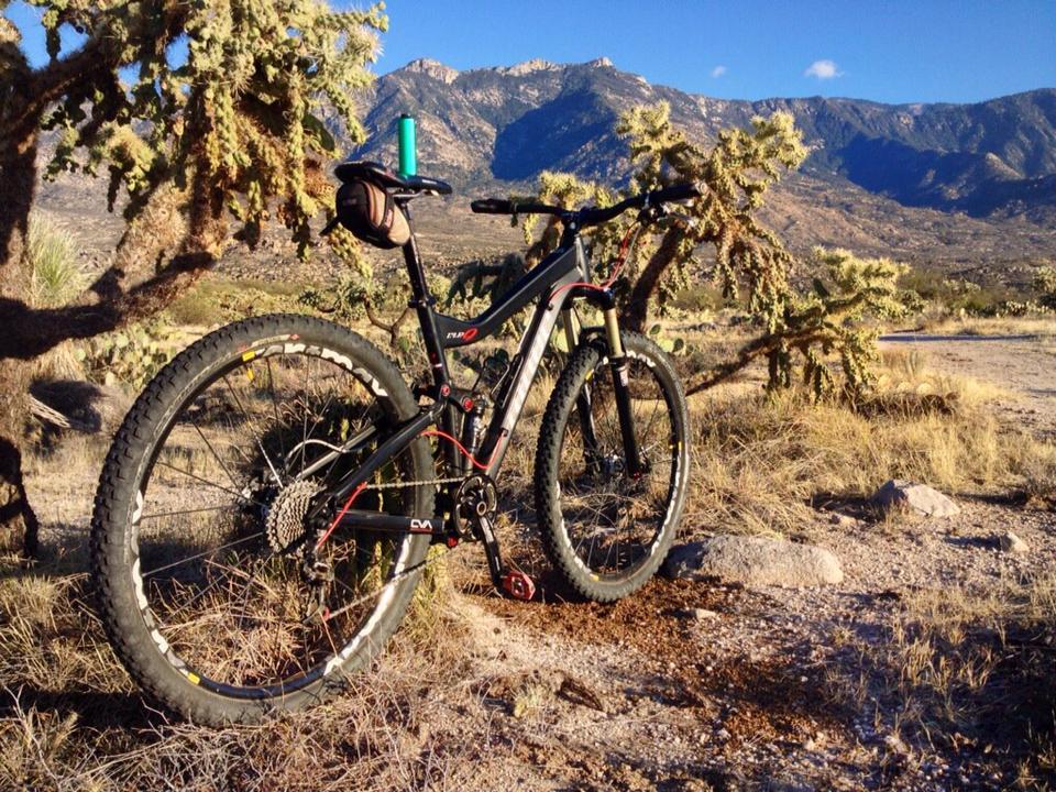 Niner RIP 9: A mountain bike resting against a cactus in a desert landscape, with rugged mountains in the background and clear blue skies above. The ground is sandy with sparse vegetation, creating a scenic outdoor setting ideal for biking.