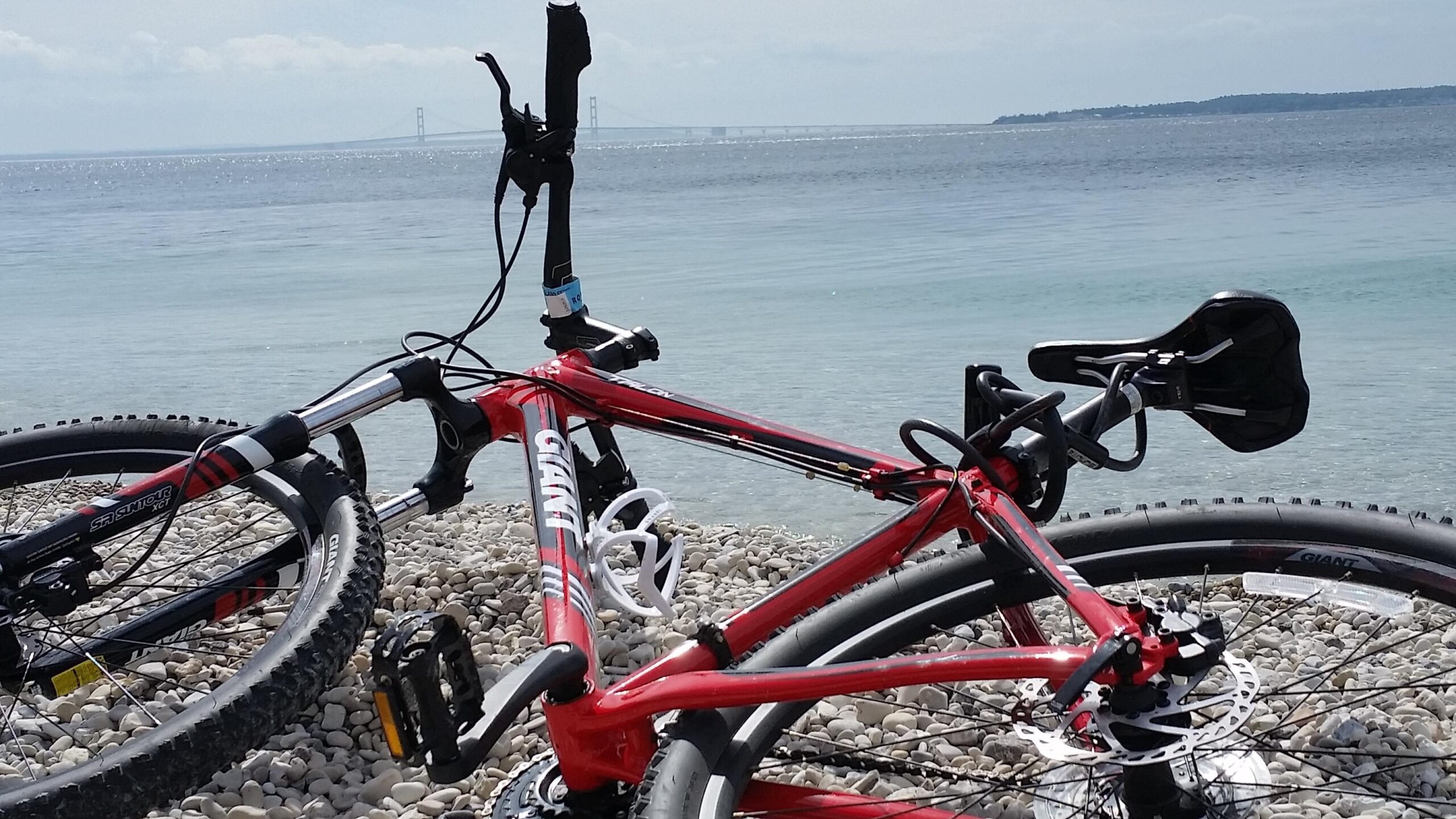 Giant Revel: A red mountain bike resting on a pebbly beach, with calm blue waters and a distant bridge visible across the water under a partly cloudy sky.