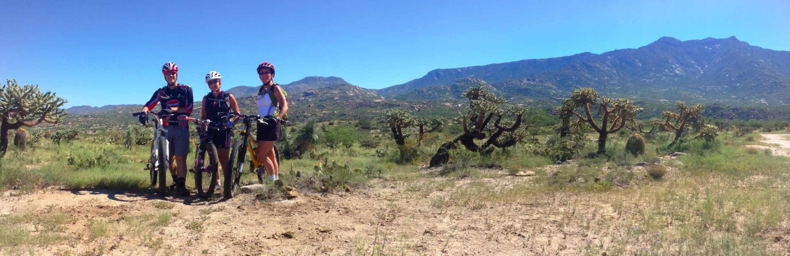 A panoramic view of three mountain bikers posing with their bikes in a desert landscape, featuring cacti and mountains in the background under a clear blue sky. The cyclists are wearing helmets and sporty attire, enjoying the outdoor adventure. 50-year Trail / Golder Ranch mountain bike trail.