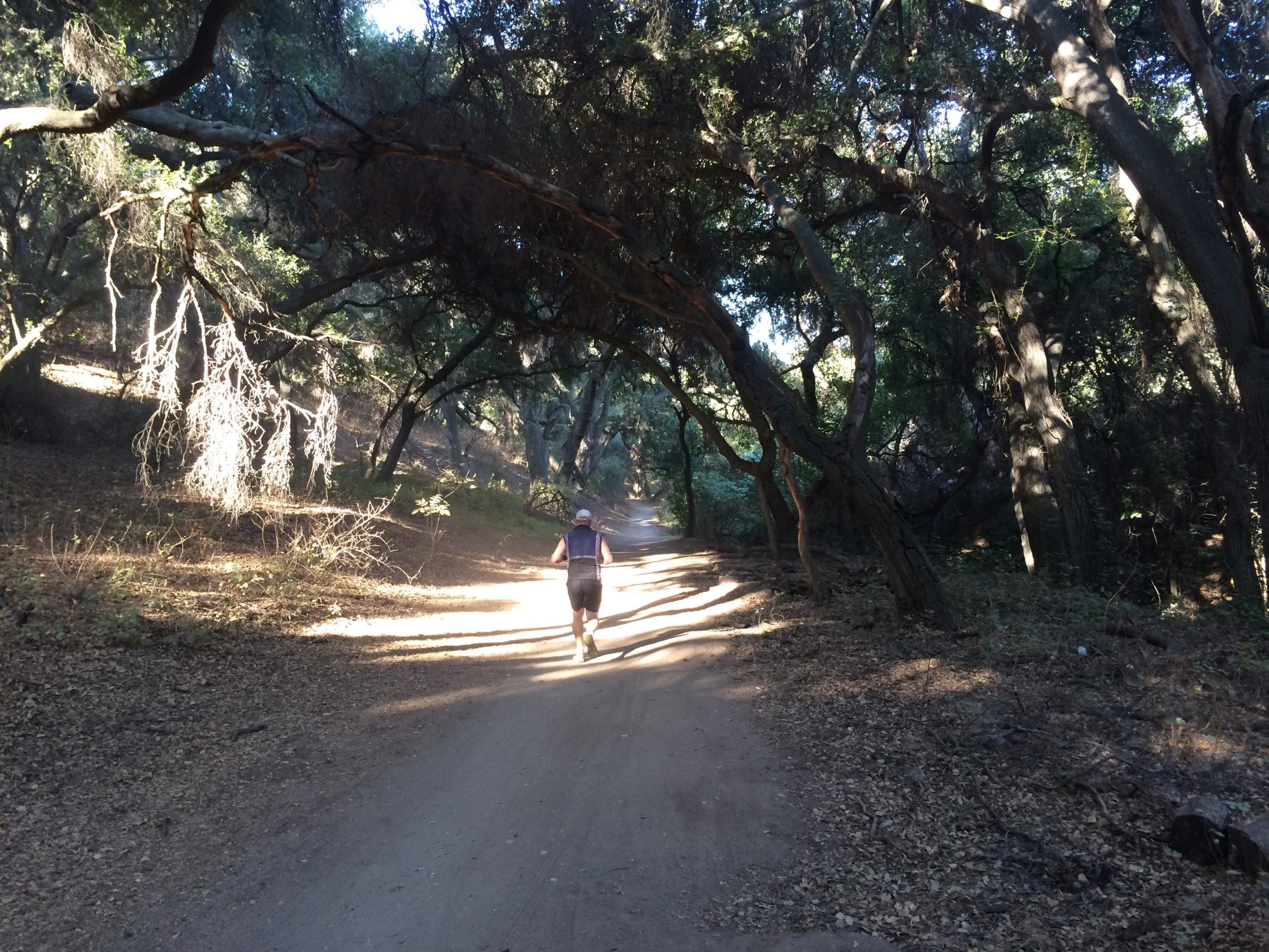 A person jogs along a dirt path surrounded by dense trees and greenery. Sunlight filters through the branches, creating dappled shadows on the ground. The scene captures a peaceful moment in a natural setting. Marshall Canyon Park mountain bike trail.