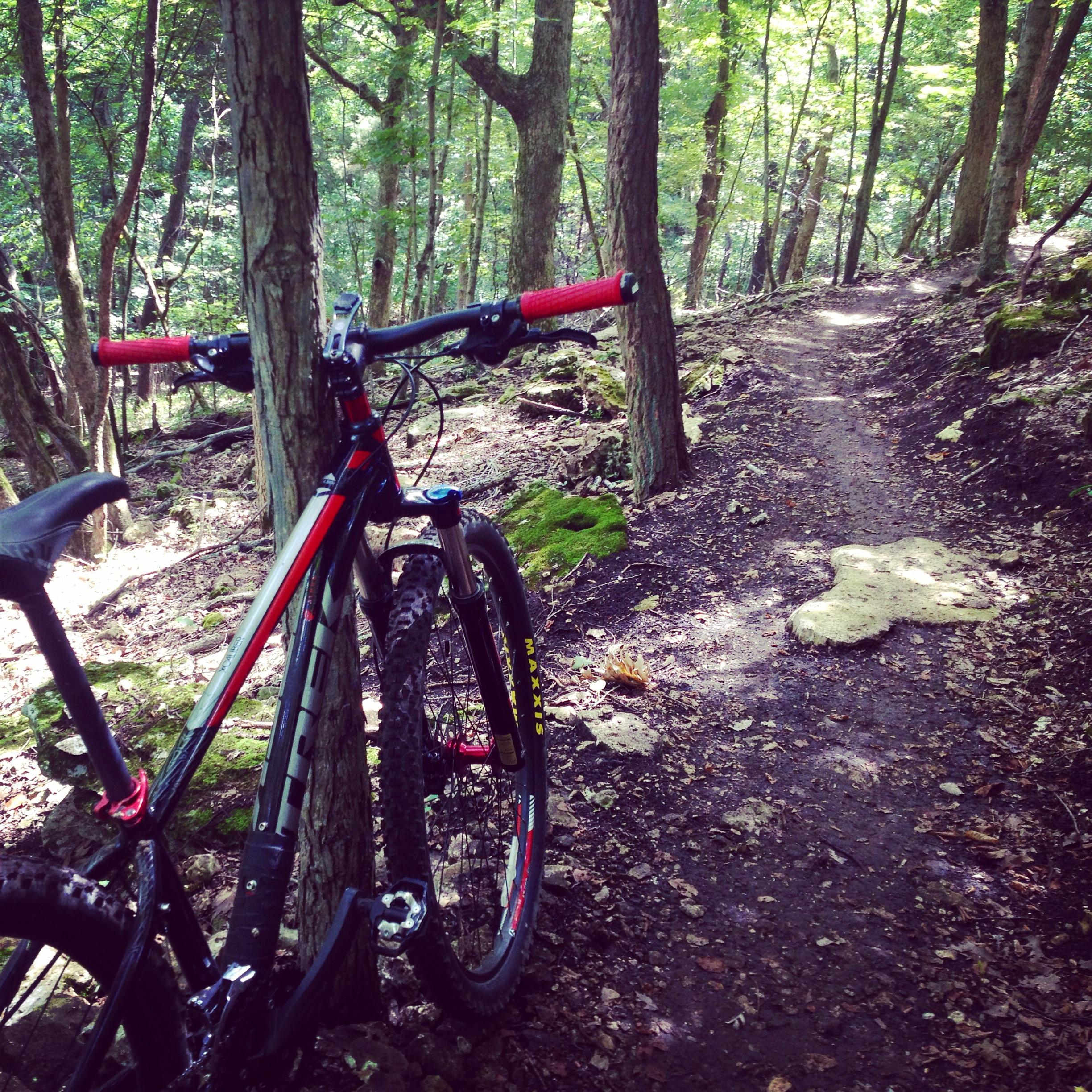 Trek X-Caliber 7: Mountain bike parked near a dirt trail in a forest, surrounded by trees and foliage. The path is rocky and winding, suggesting a natural setting for outdoor biking adventures.