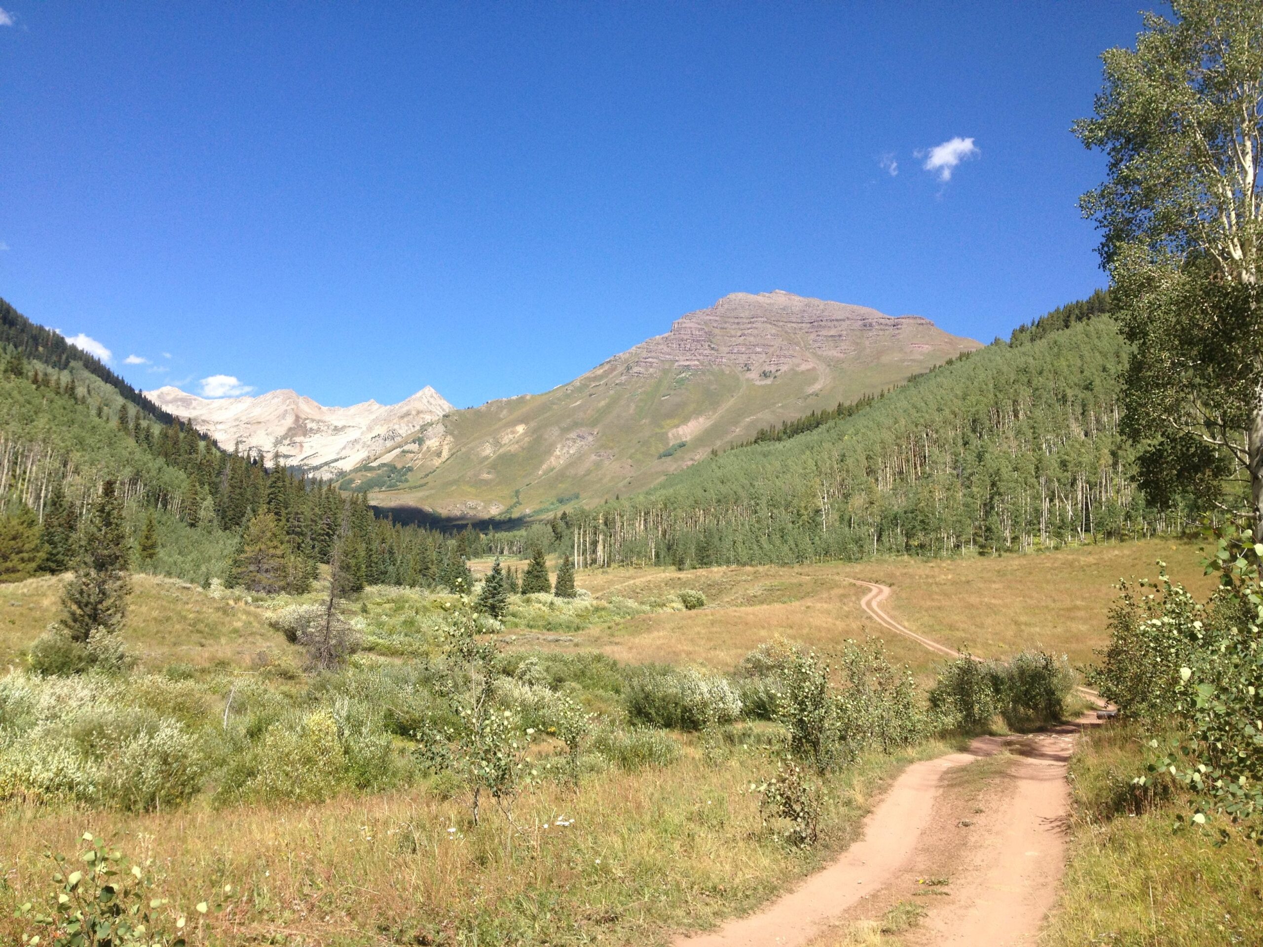 A scenic view of a mountain landscape featuring a winding dirt path through a grassy meadow, surrounded by lush greenery and trees. In the background, prominent mountain peaks are visible against a clear blue sky, creating a peaceful natural setting. West Brush Creek Road mountain bike trail.