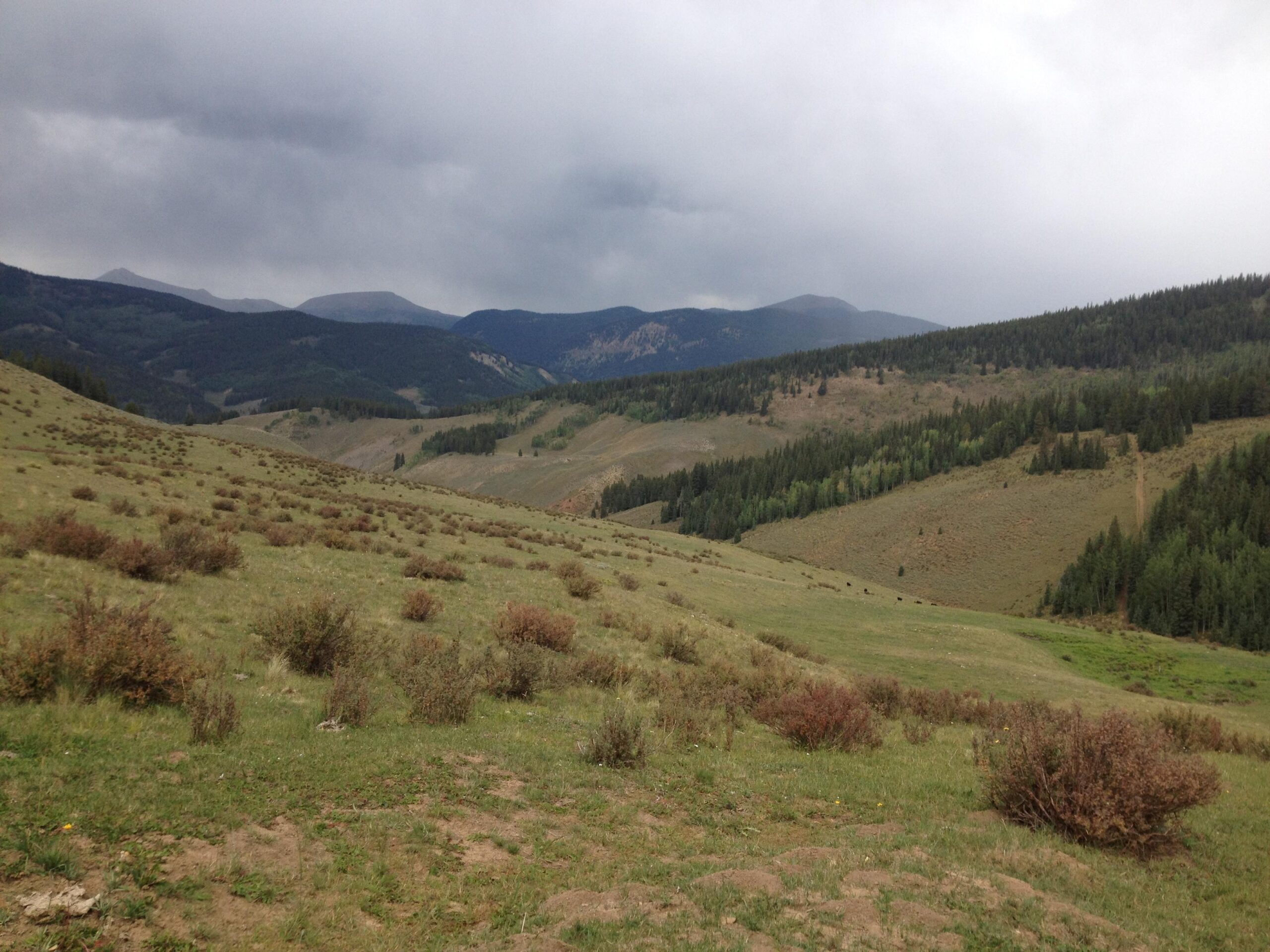 A panoramic view of a mountainous landscape under a cloudy sky, featuring rolling hills covered with green grasses and scattered shrubs. In the distance, a range of mountains can be seen, partially obscured by clouds. The foreground shows a mix of vegetation, hinting at a natural, serene environment. Doctor Park mountain bike trail.