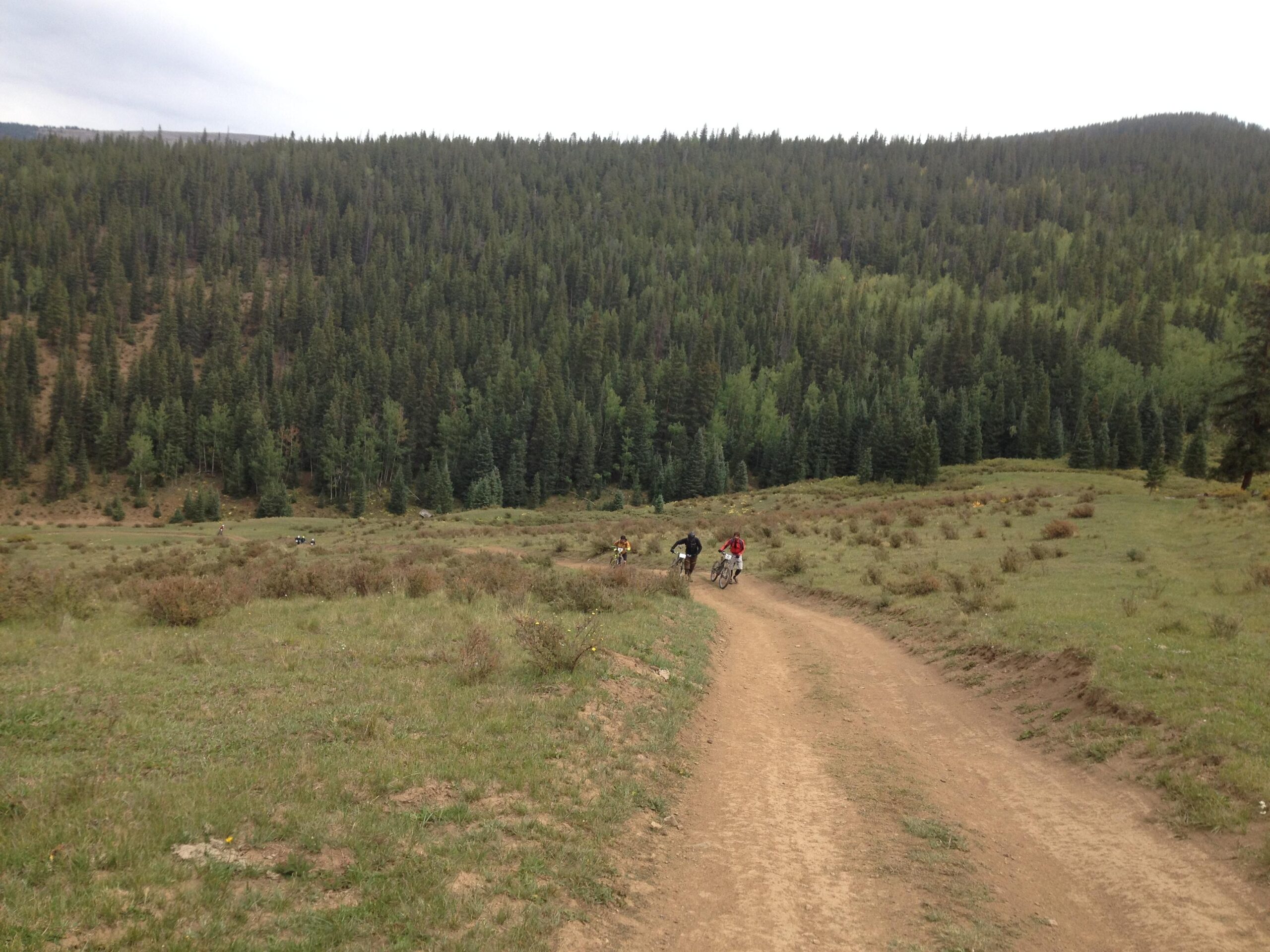 Three mountain bikers ride along a dirt path in a grassy clearing surrounded by tall evergreen trees. The scene is set in a mountainous area under a cloudy sky, showcasing a natural landscape with patches of wild vegetation. Doctor Park mountain bike trail.