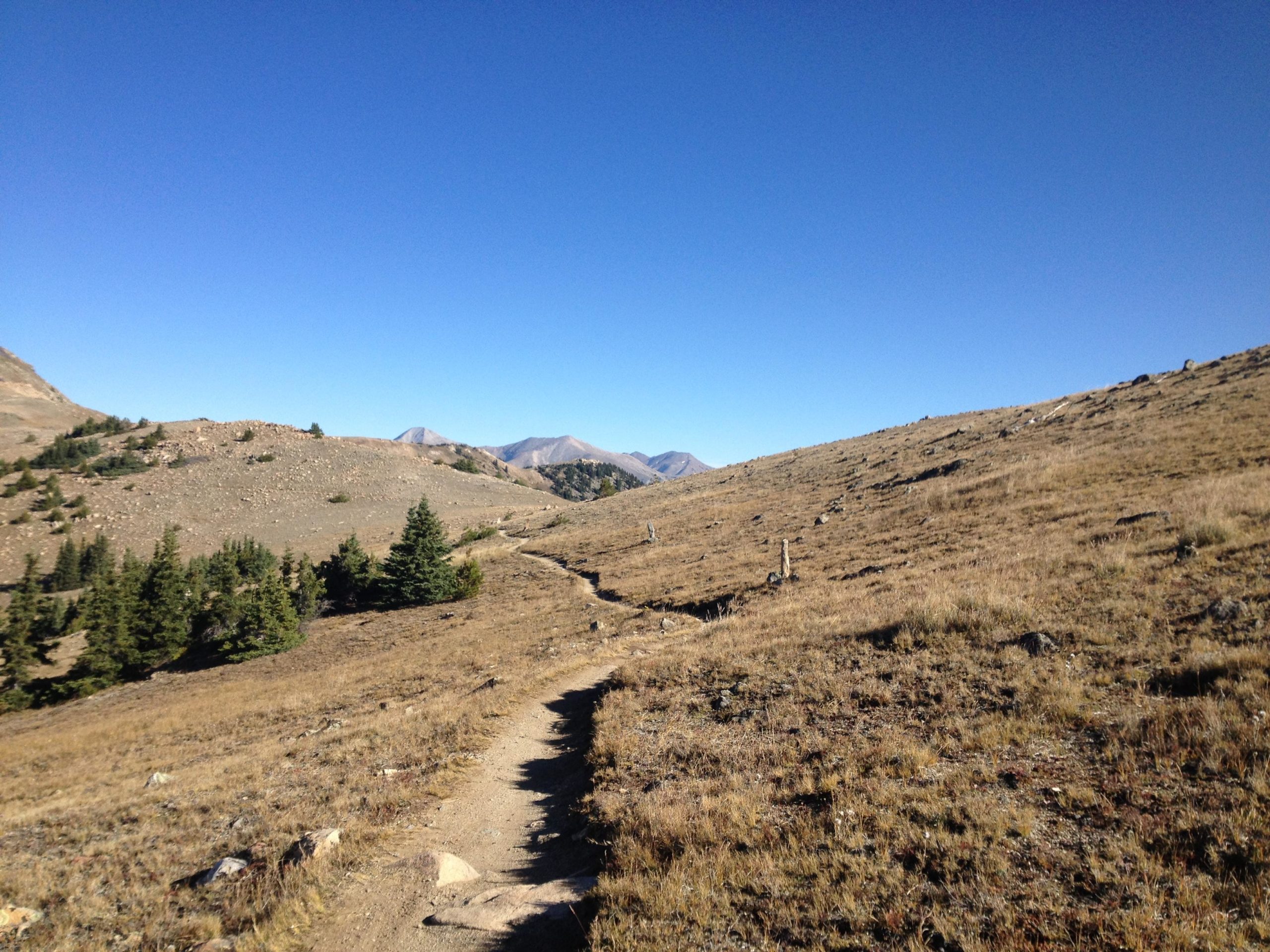 A scenic mountain trail winds through a grassy landscape under a clear blue sky, with distant peaks rising in the background and patches of evergreen trees dotting the hillside. Monarch Crest Trail mountain bike trail.