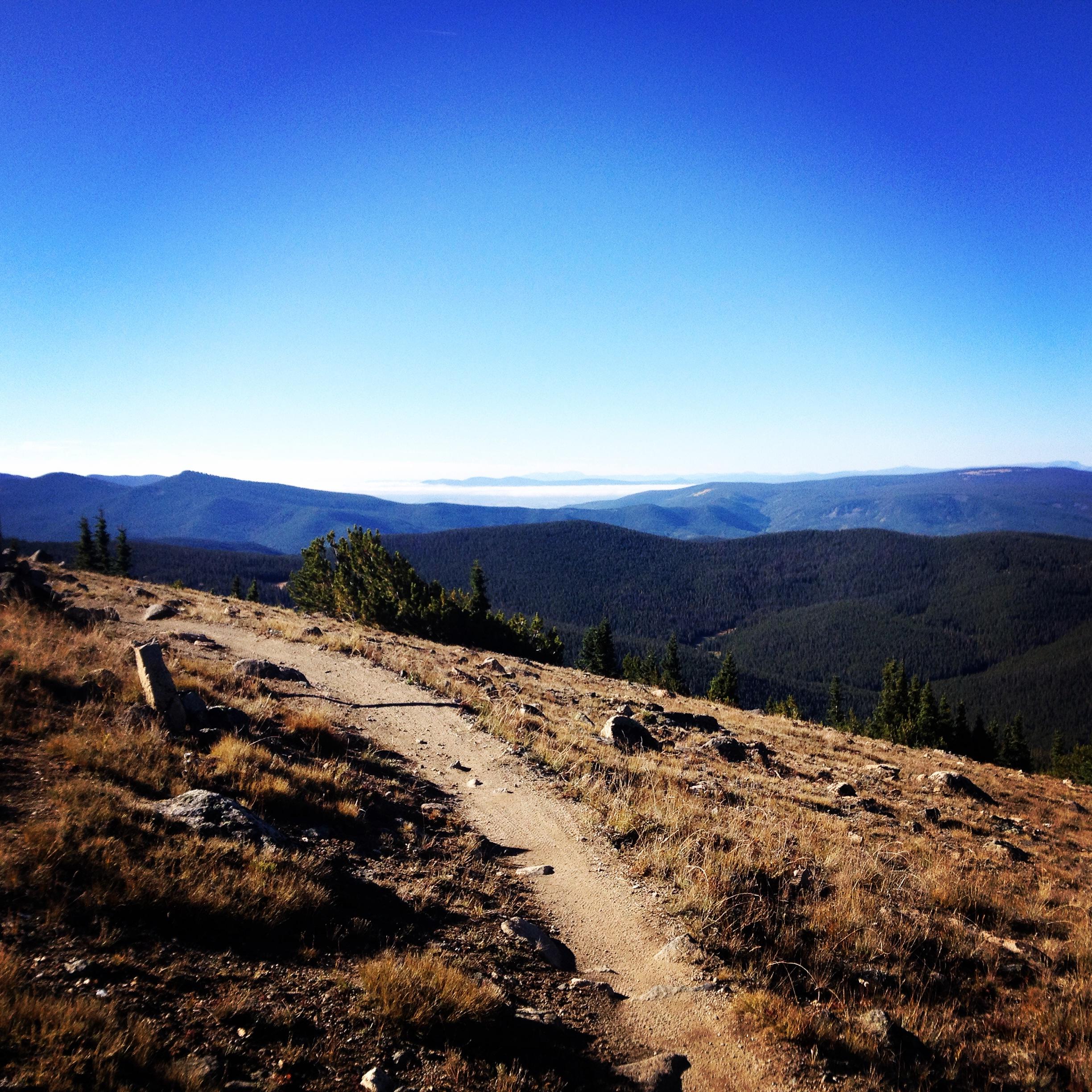 A winding dirt path leads through grassy terrain, offering a panoramic view of rolling green hills and distant mountains under a clear blue sky. The scene captures the beauty of nature, with a peaceful and serene atmosphere. Monarch Crest Trail mountain bike trail.