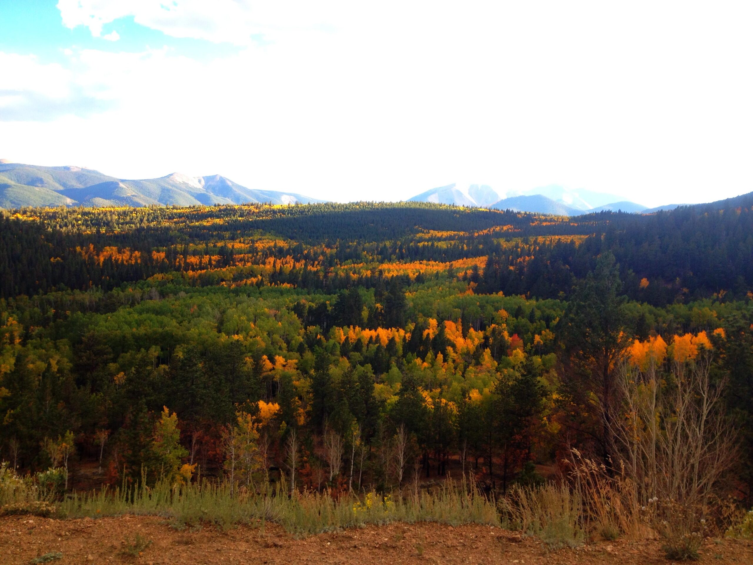 A panoramic view of a vibrant autumn landscape, featuring rolling hills covered with trees displaying a mix of green, yellow, and orange foliage. The scene is framed by distant mountains under a partly cloudy sky, creating a picturesque natural setting. Marshall Pass Road / #200 / #203 / #243 mountain bike trail.