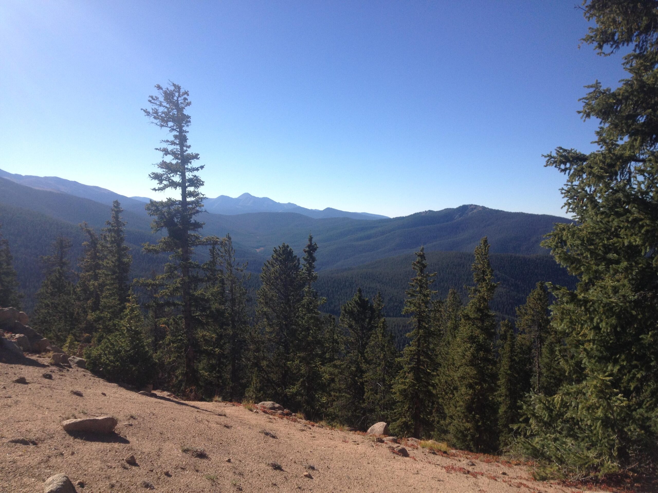 A panoramic view of a mountainous landscape featuring dense evergreen forests and rolling hills under a clear blue sky. The scene captures varying shades of green from the trees, with distant mountain ranges visible in the background. CDT: Monarch Pass to Boss Lake / Hunt Lake Trail mountain bike trail.