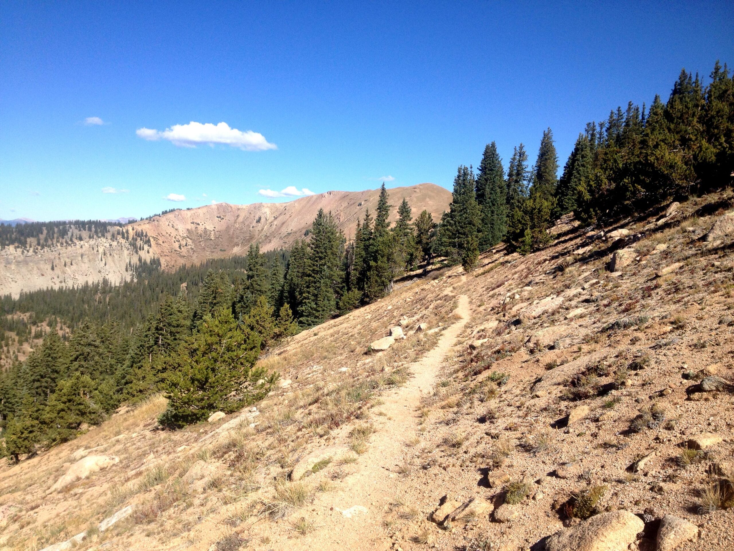 A scenic mountain landscape featuring a winding dirt trail through a rocky, sandy terrain dotted with shrubs and small trees. In the background, rolling hills can be seen under a clear blue sky with a few fluffy clouds. Pine trees are visible on the left side, creating a natural border along the path. CDT: Monarch Pass to Boss Lake / Hunt Lake Trail mountain bike trail.