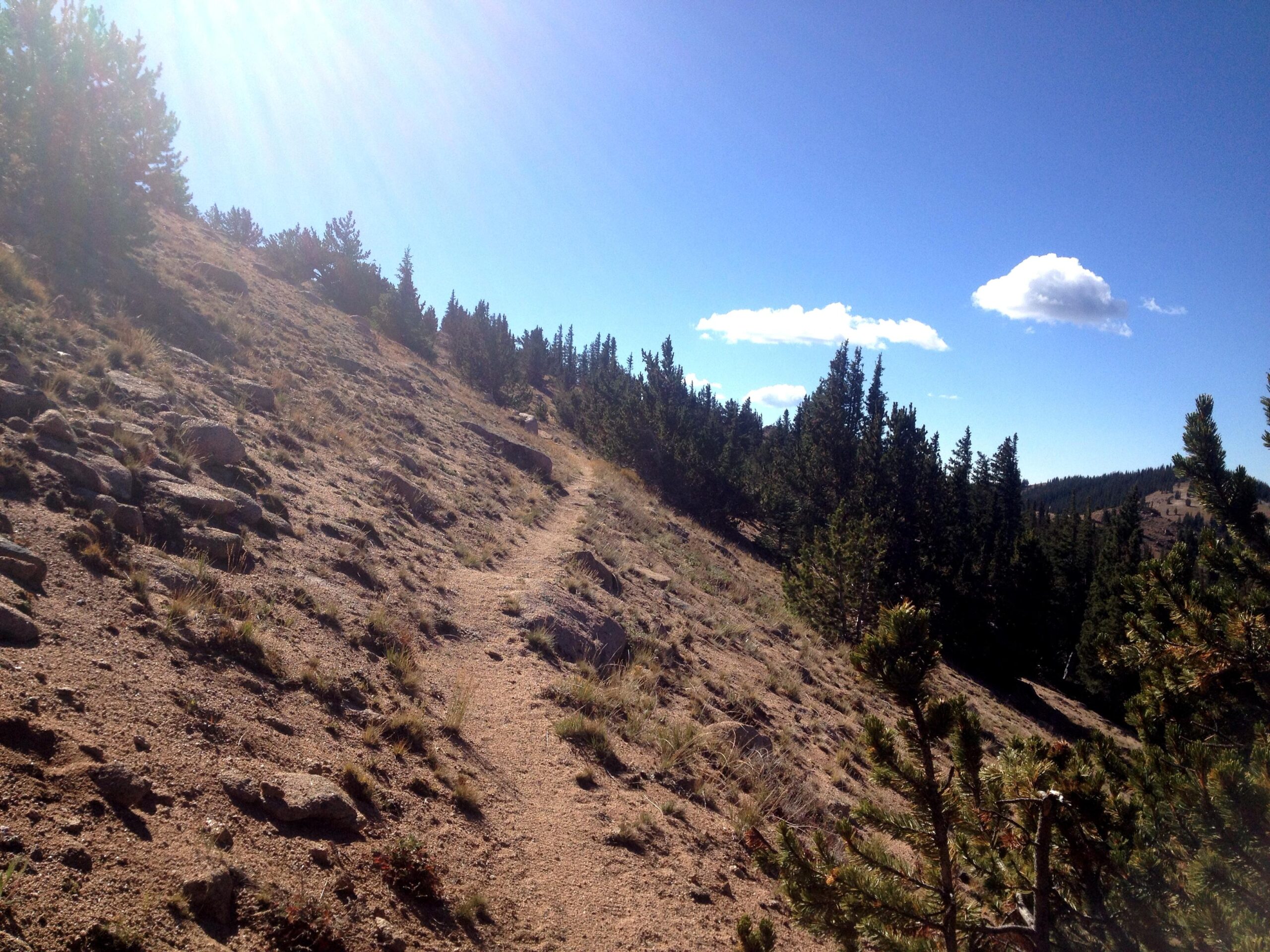 A sunlit trail winding through a sloping landscape, surrounded by pine trees and rocky terrain under a clear blue sky with a few fluffy clouds. CDT: Monarch Pass to Boss Lake / Hunt Lake Trail mountain bike trail.