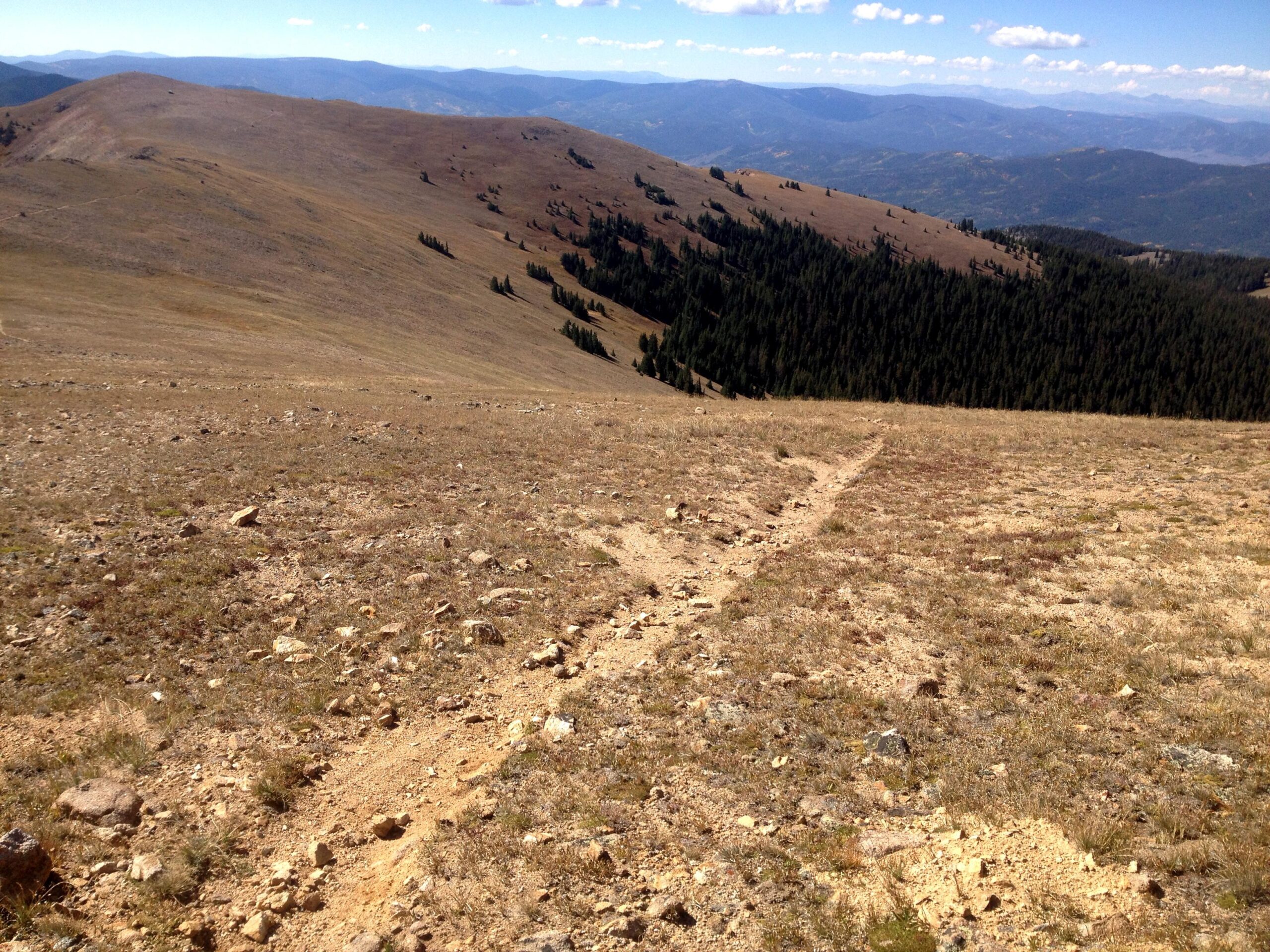 A wide, barren landscape showcasing rolling hills with sparse vegetation and rocky ground. A winding dirt path leads downhill through the foreground, while in the background, green forested areas contrast with the dry terrain. The scene is under a clear blue sky with a few clouds, revealing distant mountains in the background. CDT: Monarch Pass to Boss Lake / Hunt Lake Trail mountain bike trail.