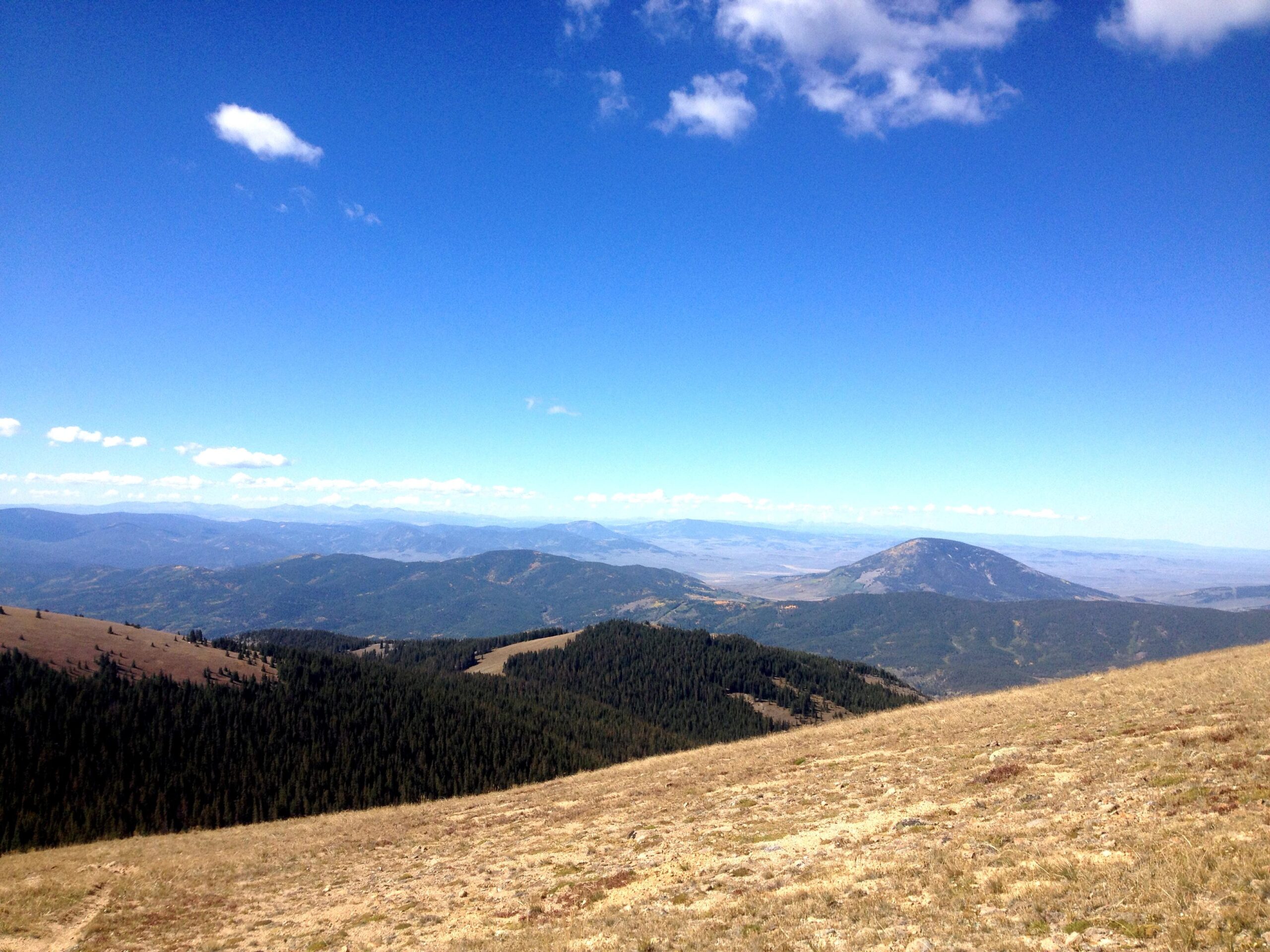 A panoramic view of rolling hills and mountains under a bright blue sky with a few scattered clouds. The foreground features a grassy area, while the background reveals a vast landscape of green forests and distant peaks, showcasing the beauty of nature. CDT: Monarch Pass to Boss Lake / Hunt Lake Trail mountain bike trail.