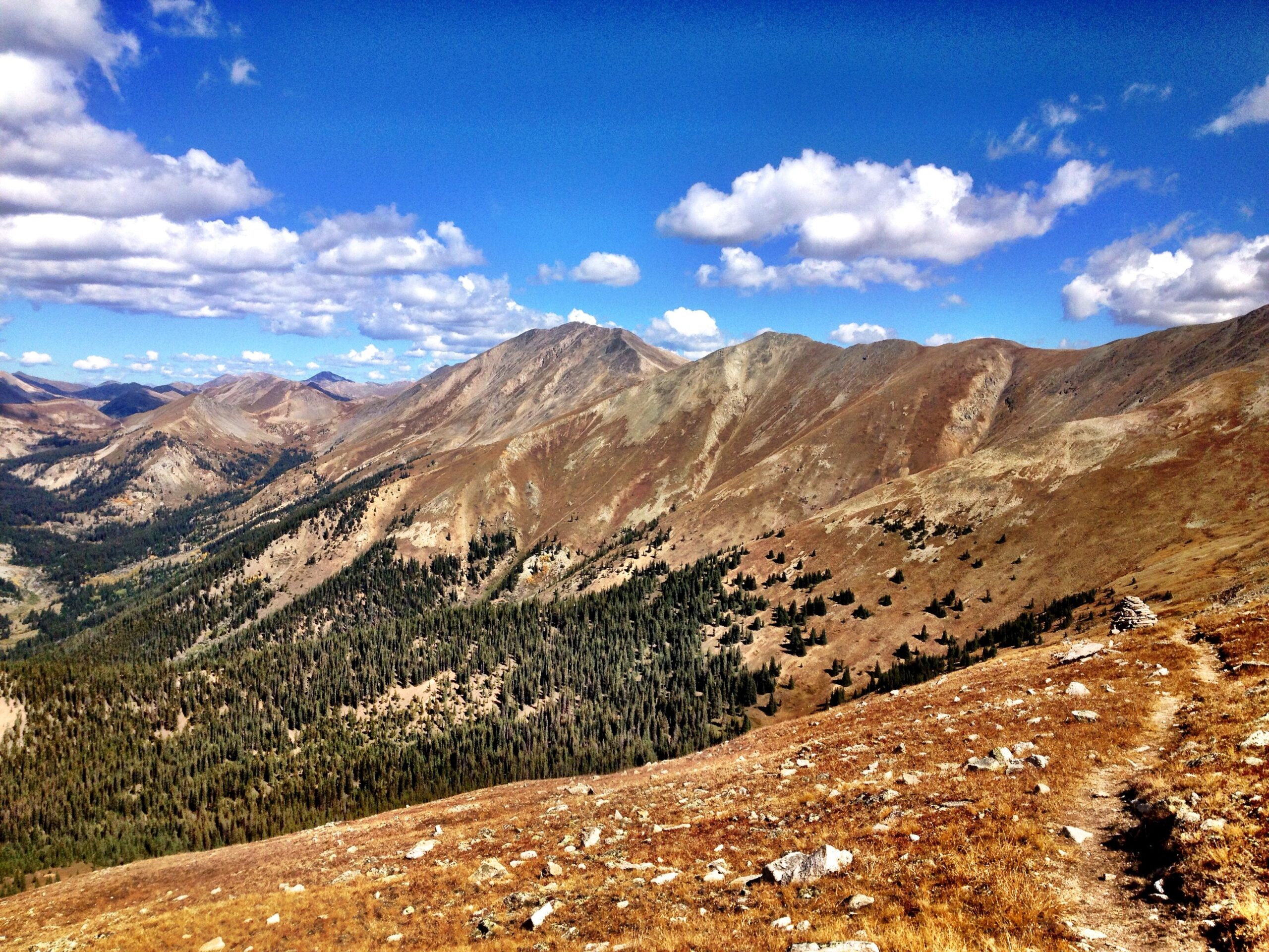 A panoramic view of rugged mountain terrain, showcasing rolling hills and peaks under a bright blue sky with scattered clouds. The landscape features a mix of dry, brown grass and dense green forests, creating a contrast between the arid and lush areas. The scene conveys a sense of natural beauty and expansive wilderness. CDT: Monarch Pass to Boss Lake / Hunt Lake Trail mountain bike trail.