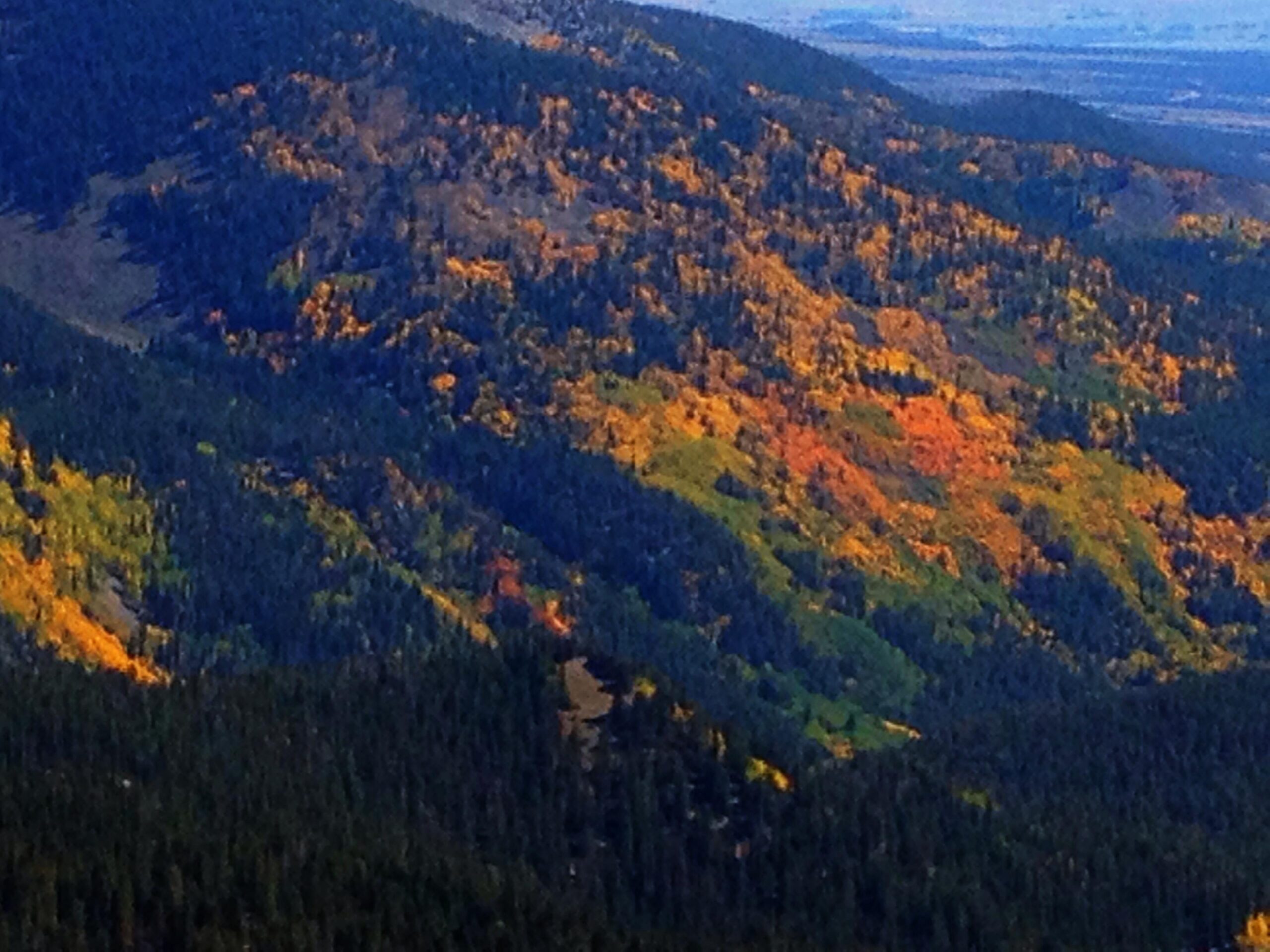A scenic view of a mountainous landscape showcasing a vibrant display of autumn foliage, with trees in shades of orange, yellow, and green, set against a backdrop of dark evergreen forests and distant hills. CDT: Monarch Pass to Boss Lake / Hunt Lake Trail mountain bike trail.