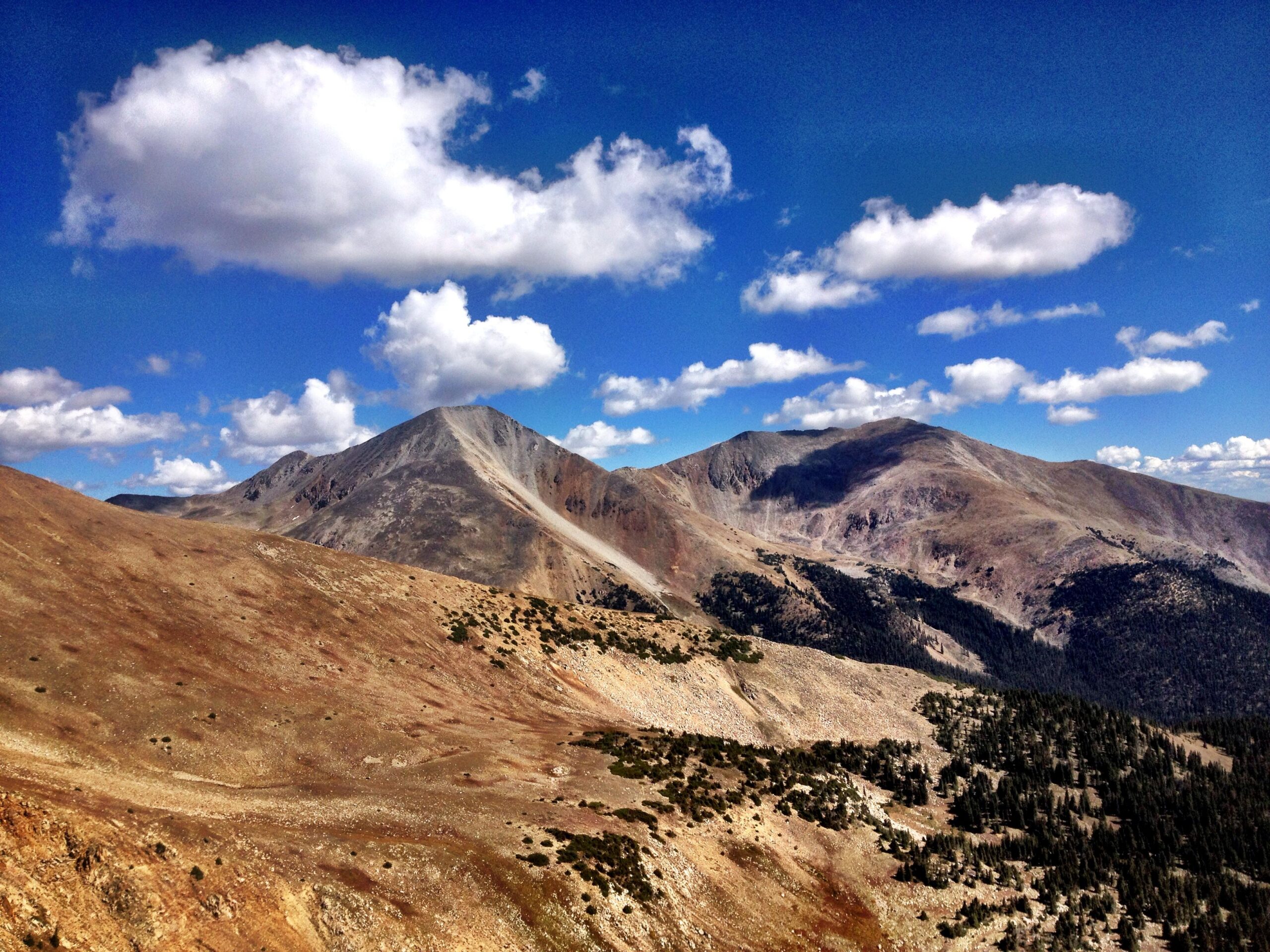 A panoramic view of rugged mountains under a blue sky dotted with fluffy clouds, showcasing earthy tones of brown and green in the foreground, with peaks rising dramatically in the background. CDT: Monarch Pass to Boss Lake / Hunt Lake Trail mountain bike trail.