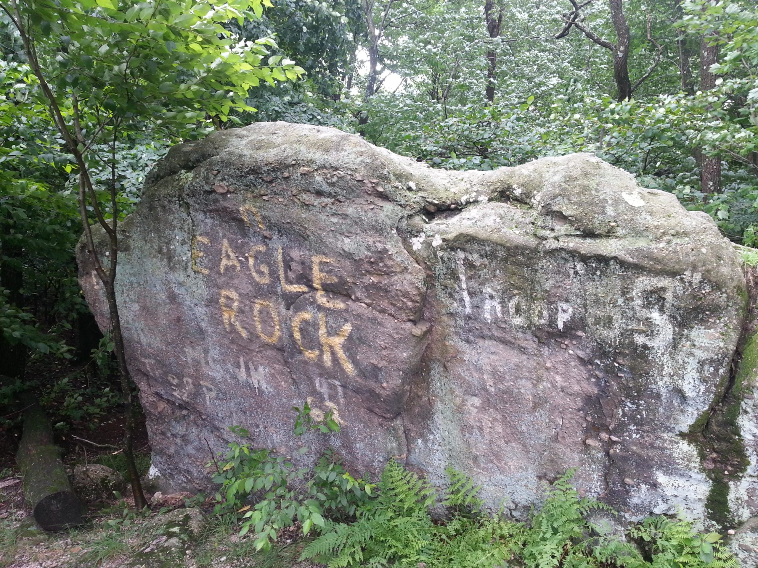 A large rock covered in foliage with the words "EAGLE ROCK" painted in yellow on one side. The surrounding area features green trees and ferns, creating a natural, wooded setting. Camp Mack mountain bike trail.