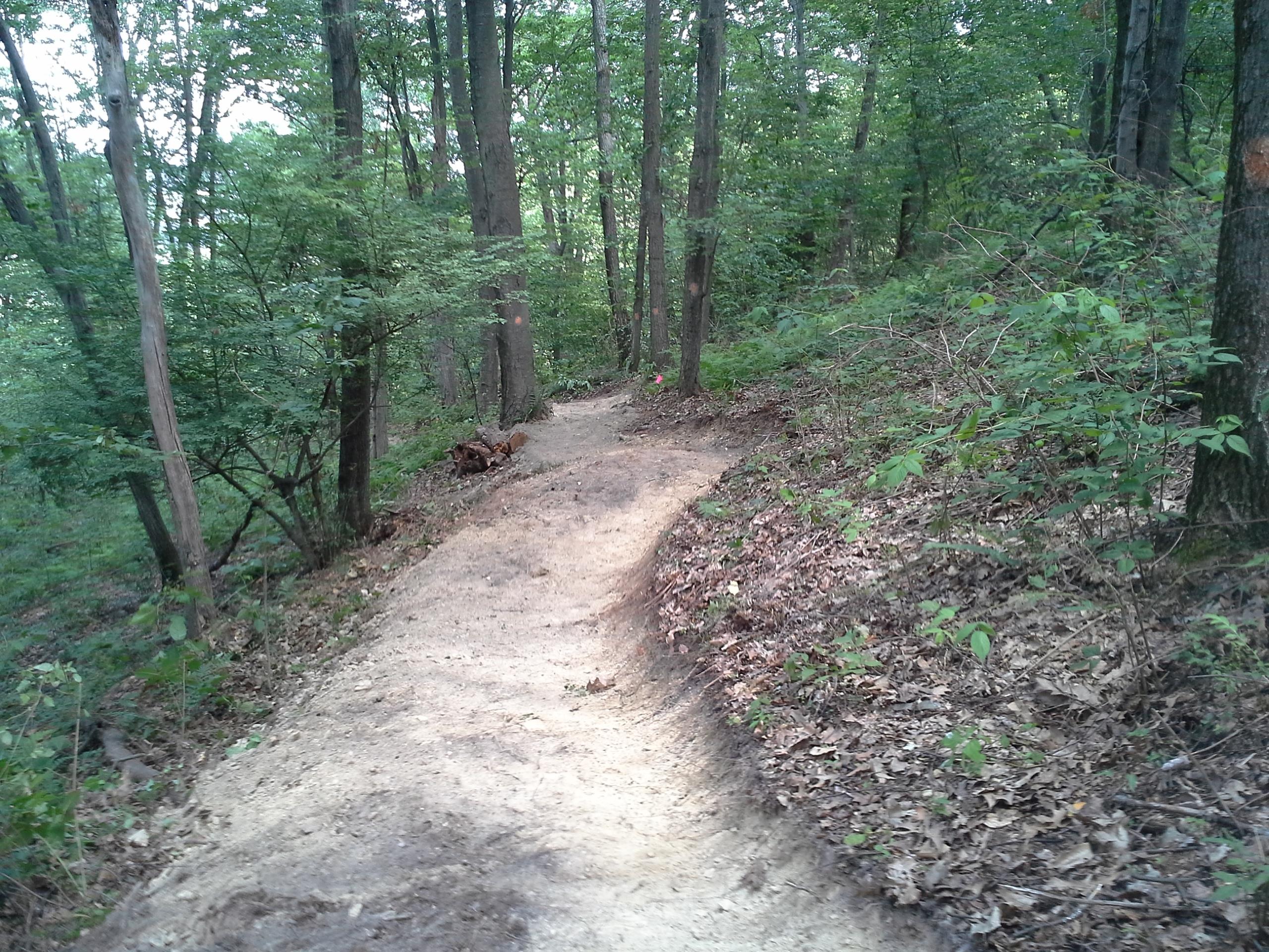 A winding dirt trail through a dense forest, surrounded by tall trees and lush greenery. The path is slightly illuminated by natural light filtering through the leaves, with areas of exposed soil and scattered fallen leaves along the edges. Hopewell Park mountain bike trail.
