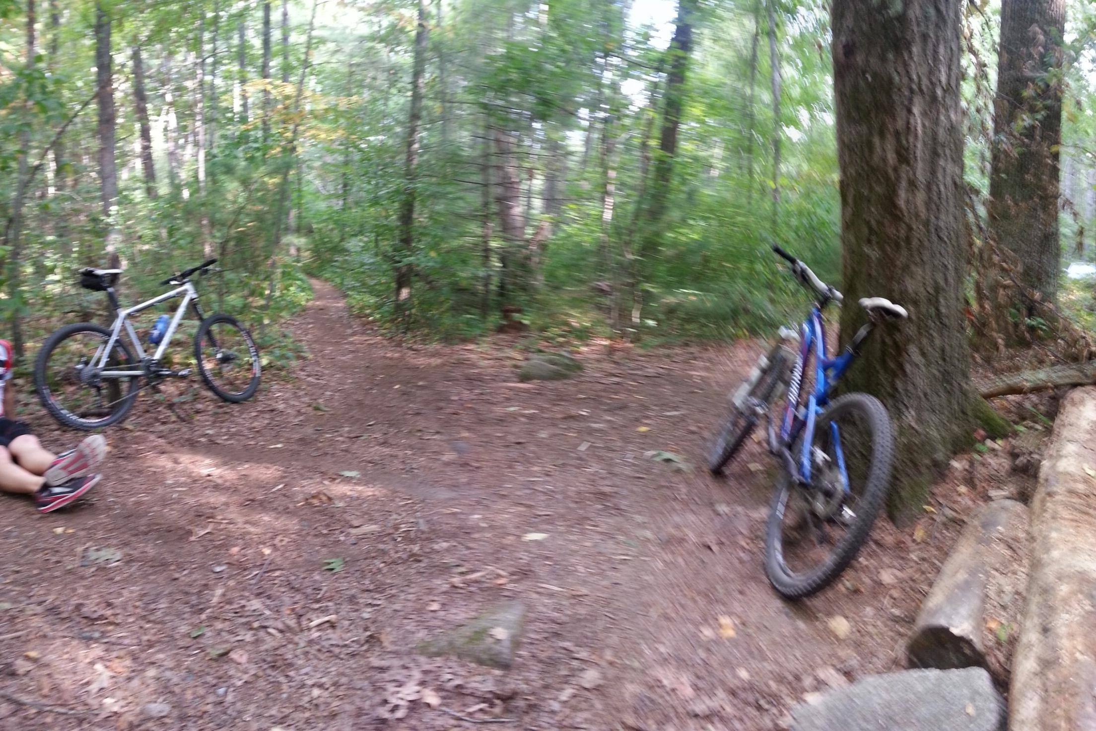 Specialized Stumpjumper FSR: Two mountain bikes, one white and one blue, are parked on a dirt trail surrounded by dense green foliage in a forest. The trail forks ahead, leading deeper into the woods. Sunlight filters through the trees, casting soft shadows on the ground. A person is partially visible on the left side of the image, resting on the ground.