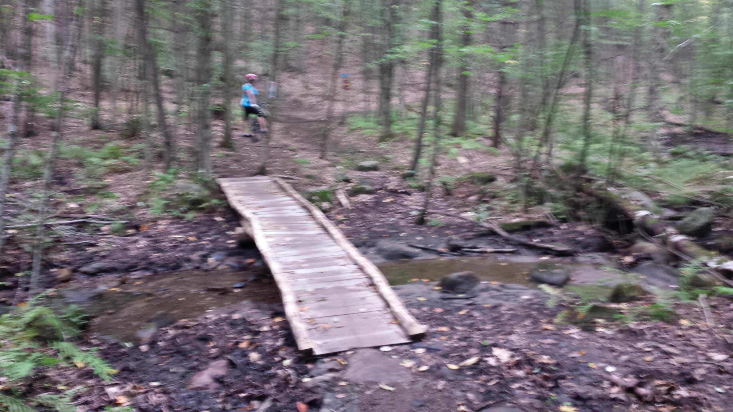 A wooden bridge crosses a small stream in a wooded area, surrounded by trees and foliage. A person in a blue shirt and helmet stands nearby, with a path leading into the forest in the background. The scene is lush and green, indicating a natural, outdoor environment. Gurney Lane Mountain Bike Trails mountain bike trail.