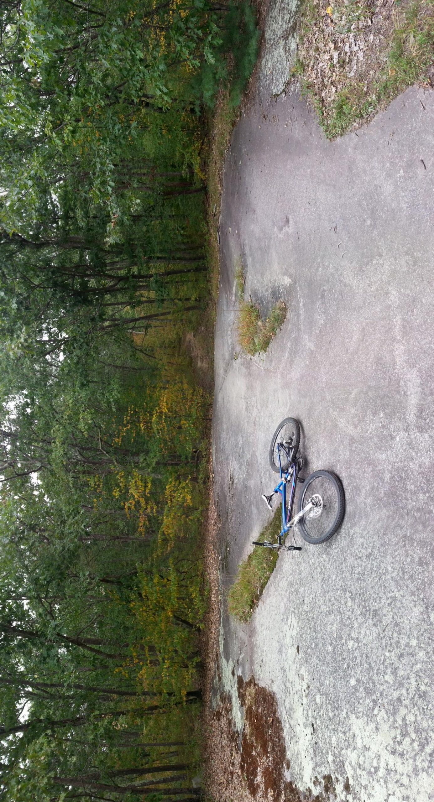 A blue bicycle rests on a gravel path surrounded by trees, with foliage in shades of green and hints of autumn colors. The path forks into two directions, leading deeper into a wooded area. Vietnam Trails mountain bike trail.