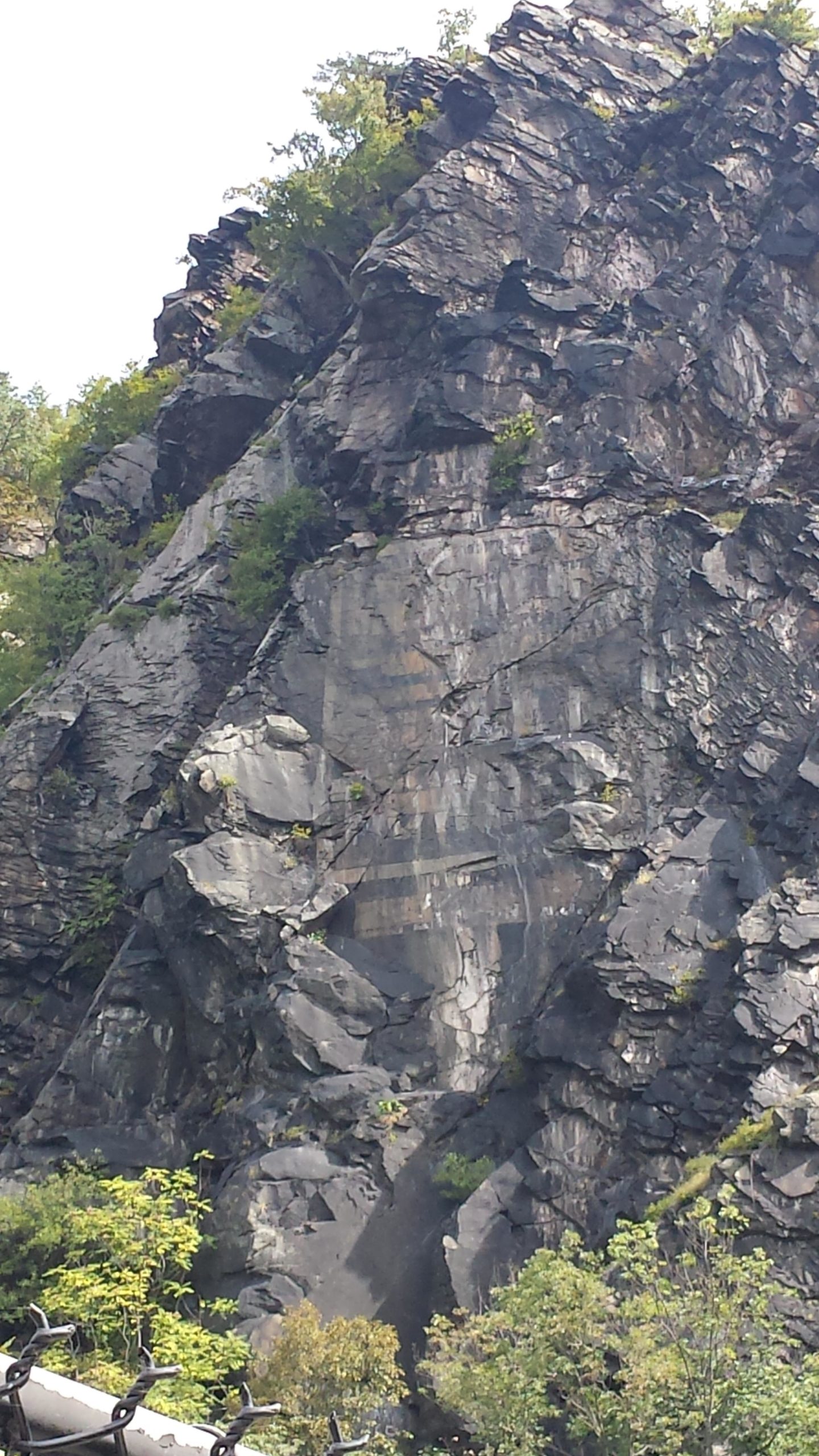 A steep rocky cliff face with dark, weathered stone, partially covered by patches of green vegetation. Some sections show exposed rock layers and natural textures, with trees growing at the top of the cliff. C&O Canal mountain bike trail.