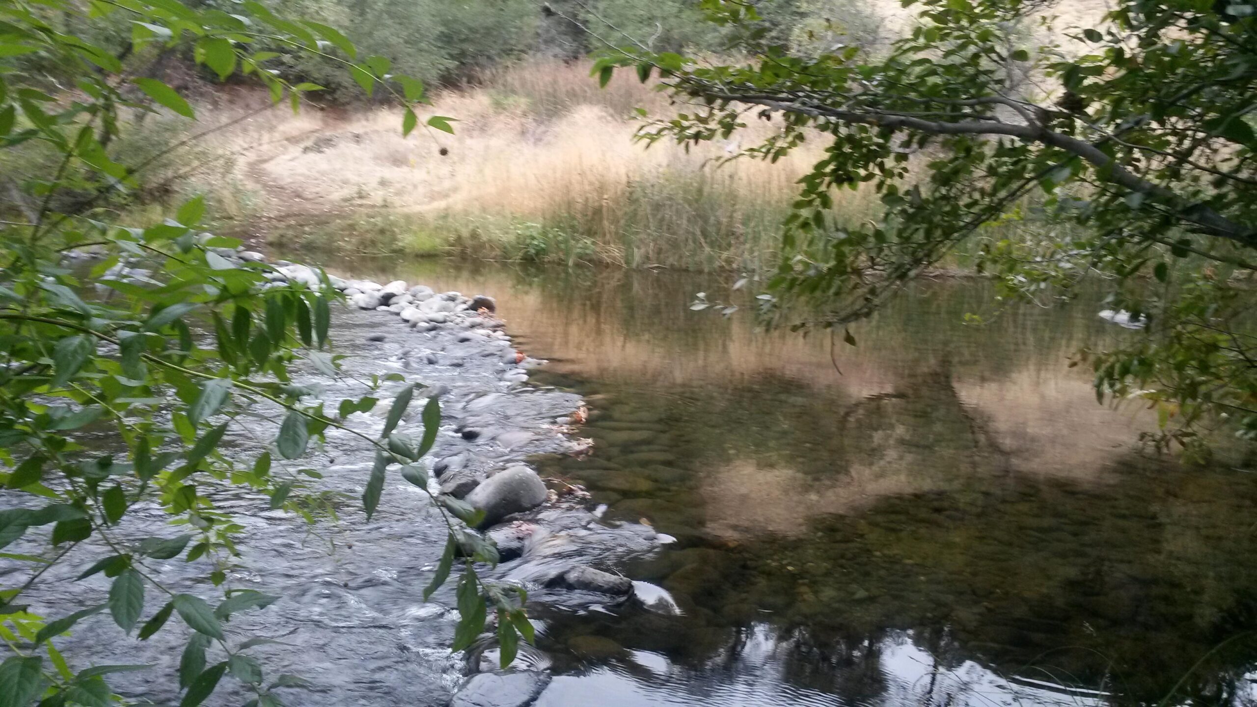 A serene view of a small river winding through a natural landscape, lined with smooth stones on one side. Lush green leaves frame the scene, contrasting with the gentle flow of water. In the background, tall grasses and trees create a peaceful, shaded environment. The water reflects the surrounding greenery, enhancing the tranquil atmosphere. Old Humboldt to Green Gate to North Rim mountain bike trail.