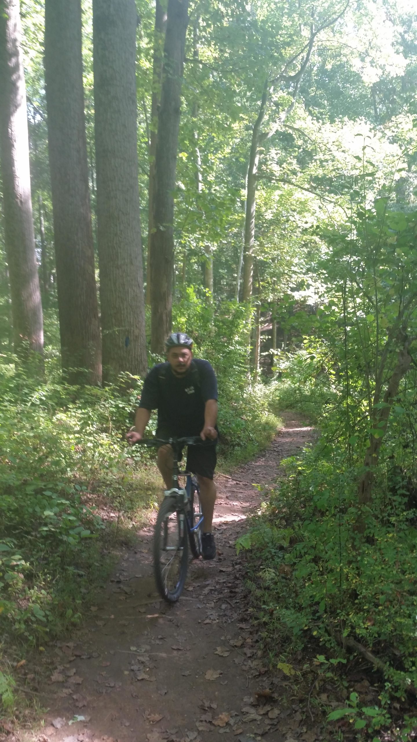 A person riding a mountain bike on a narrow, winding trail through a lush green forest, surrounded by tall trees and daylight filtering through the leaves. The cyclist is wearing a helmet and casual clothing, while the path is lined with foliage and fallen leaves. Clopper Lake mountain bike trail.