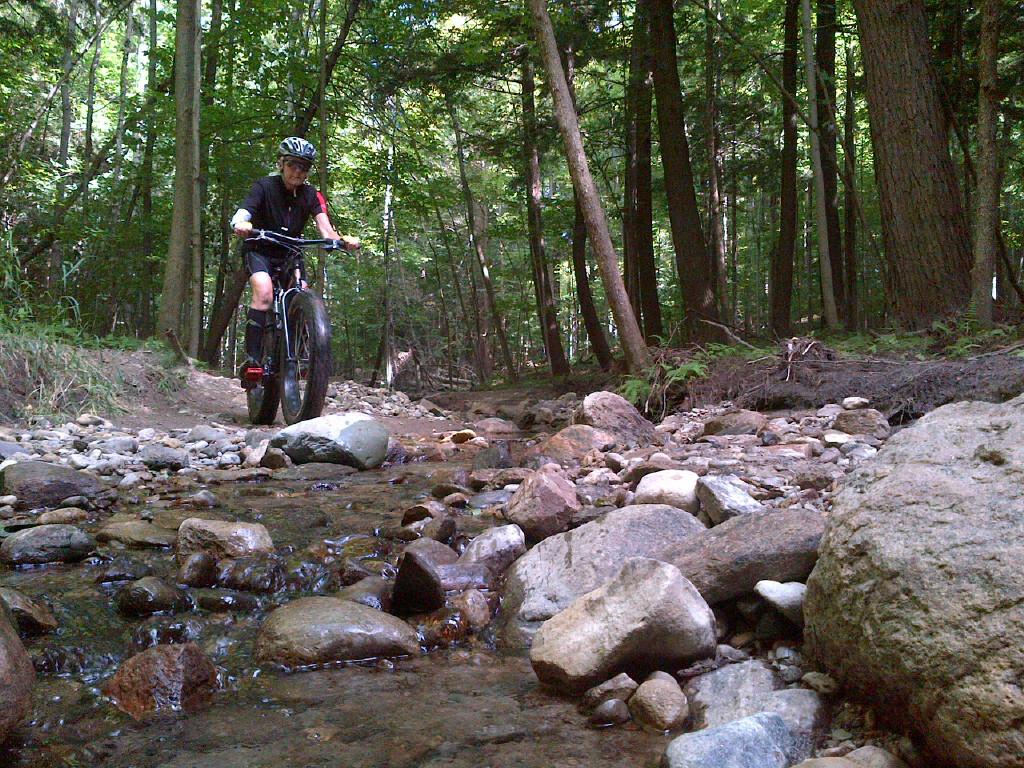 A mountain biker rides through a rocky creek bed in a forested area, surrounded by tall trees and greenery. The cyclist wears a helmet and cycling gear, navigating over smooth stones in the water. Coulson's Hill mountain bike trail.
