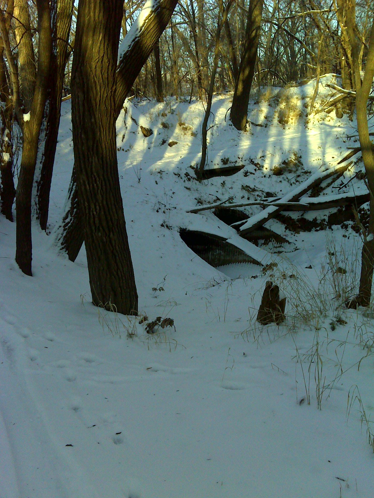 A snowy landscape featuring tall trees with textured bark, casting long shadows on the ground. The snow covers the ground and highlights patches of grass and scattered branches. A slight incline leads to a wooded area in the background, where a small drainage pipe is partially visible. The scene conveys a peaceful, wintry atmosphere. ESU Trail mountain bike trail.