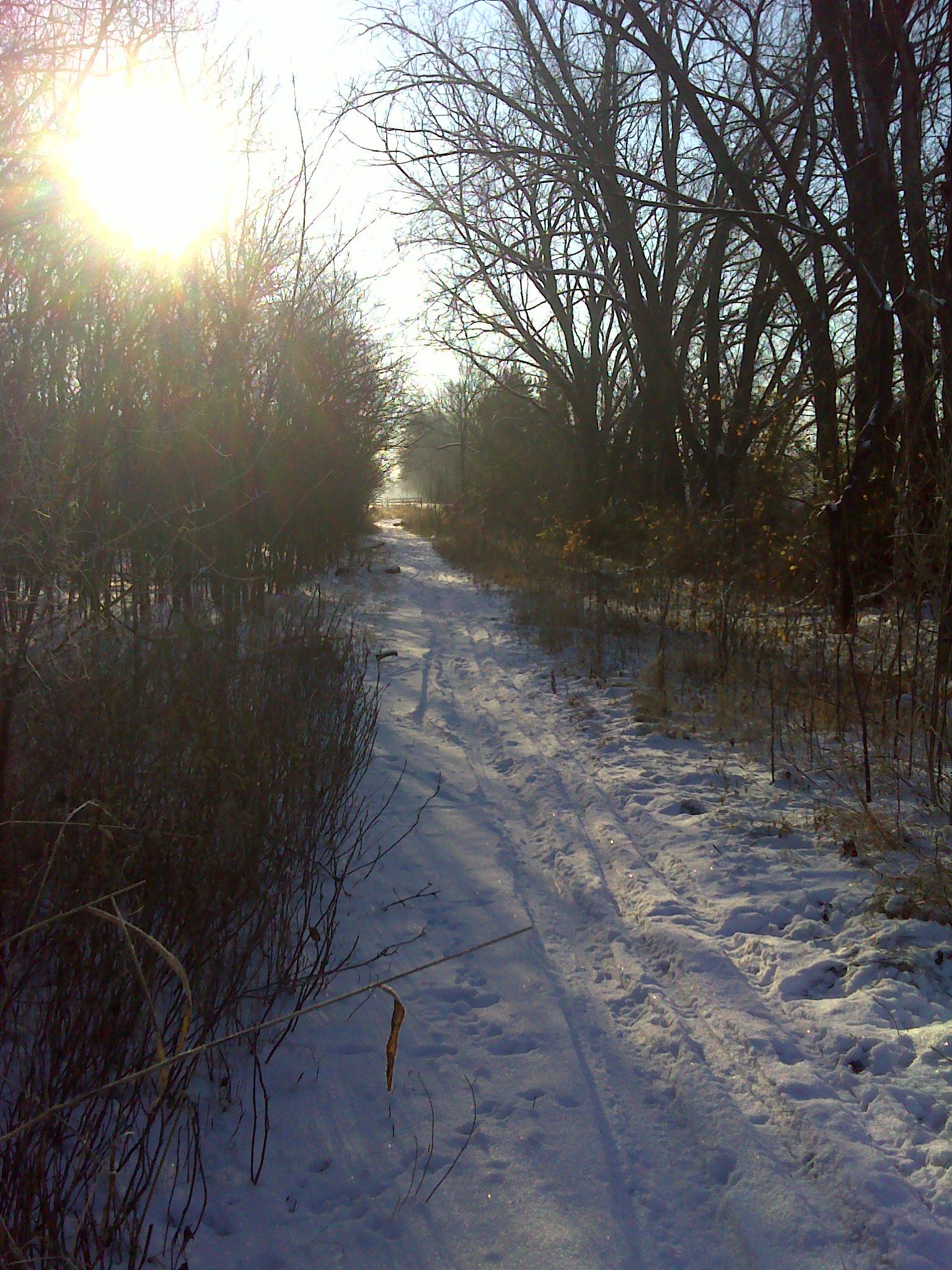 A snowy path winding through a winter landscape, flanked by bare trees and bushes. The sun is low in the sky, casting a warm glow over the scene, creating a serene and tranquil atmosphere. ESU Trail mountain bike trail.