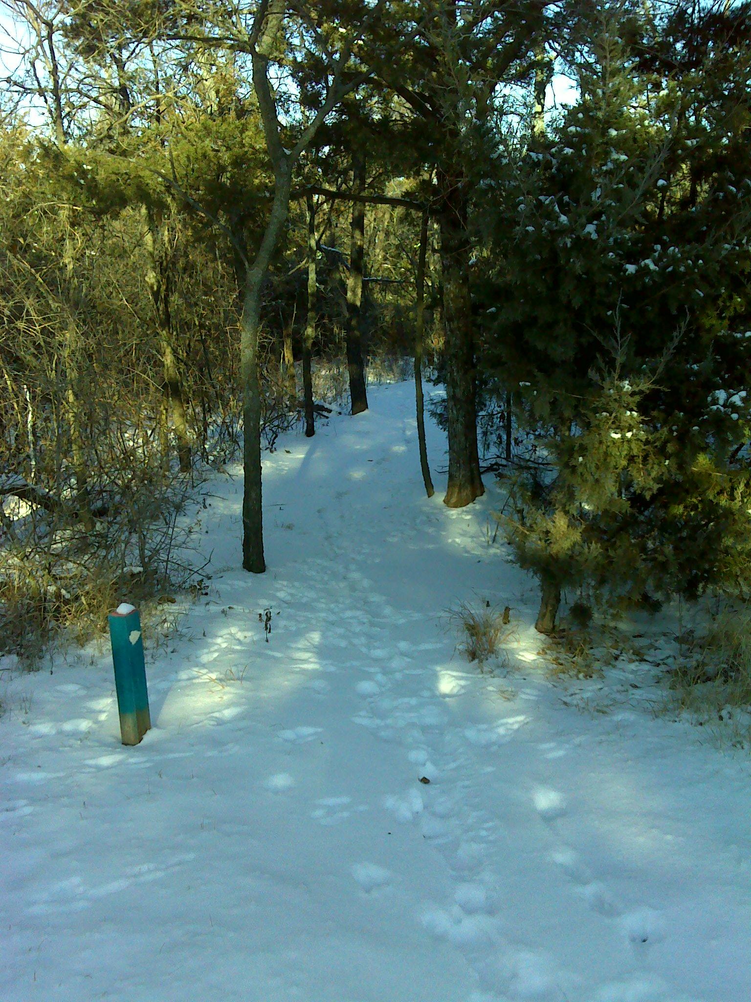 A snowy pathway winding through a forest, flanked by trees. Footprints are visible in the fresh snow, leading toward a blue post marking the trail. The scene is calm and serene, with sunlight filtering through the branches. Camp Alexander Trails mountain bike trail.