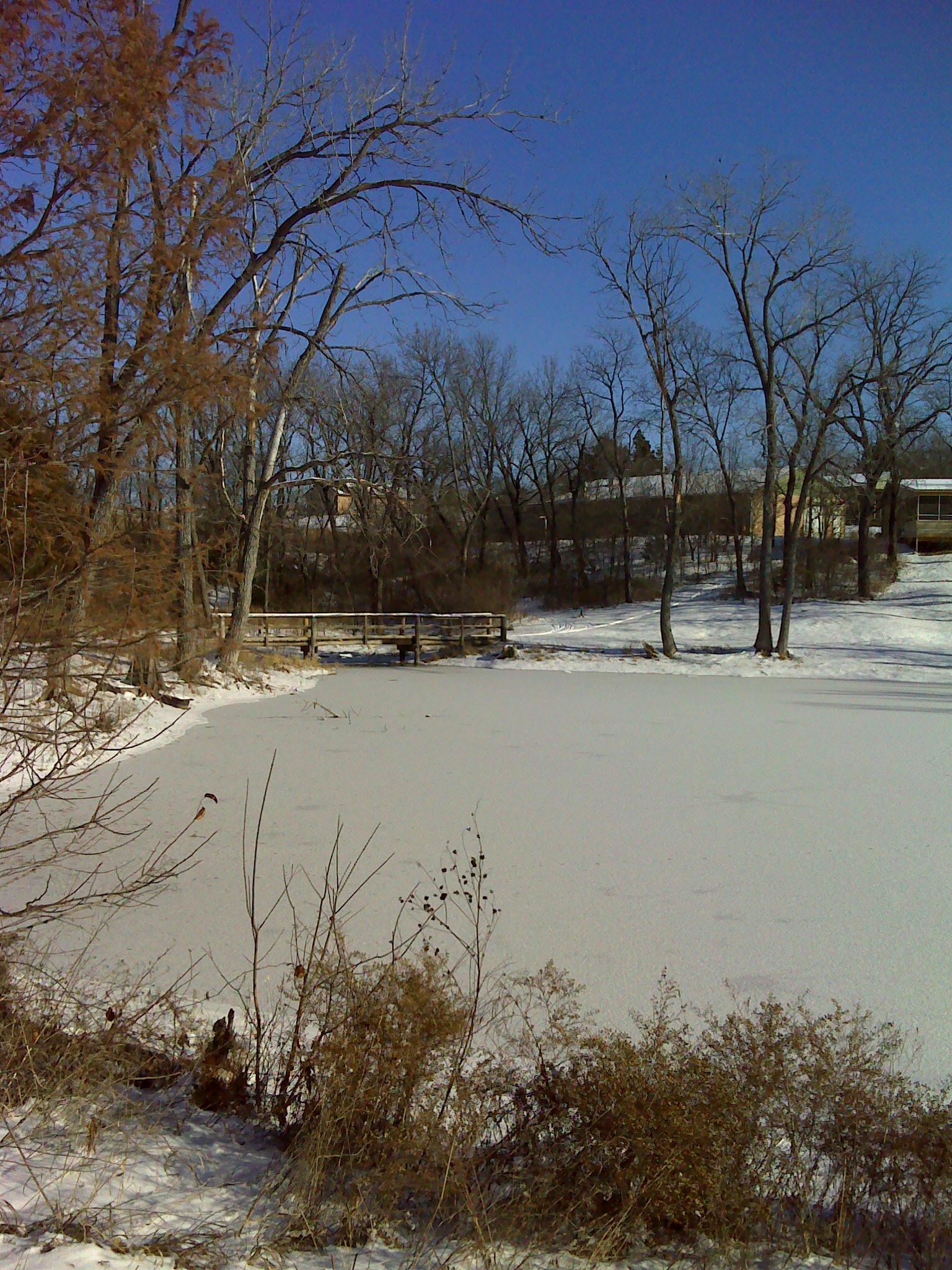 A serene winter scene featuring a frozen pond surrounded by bare trees, with remnants of snow visible on the ground. In the background, a wooden dock extends into the pond, and a clear blue sky overhead enhances the tranquil atmosphere. Camp Alexander Trails mountain bike trail.