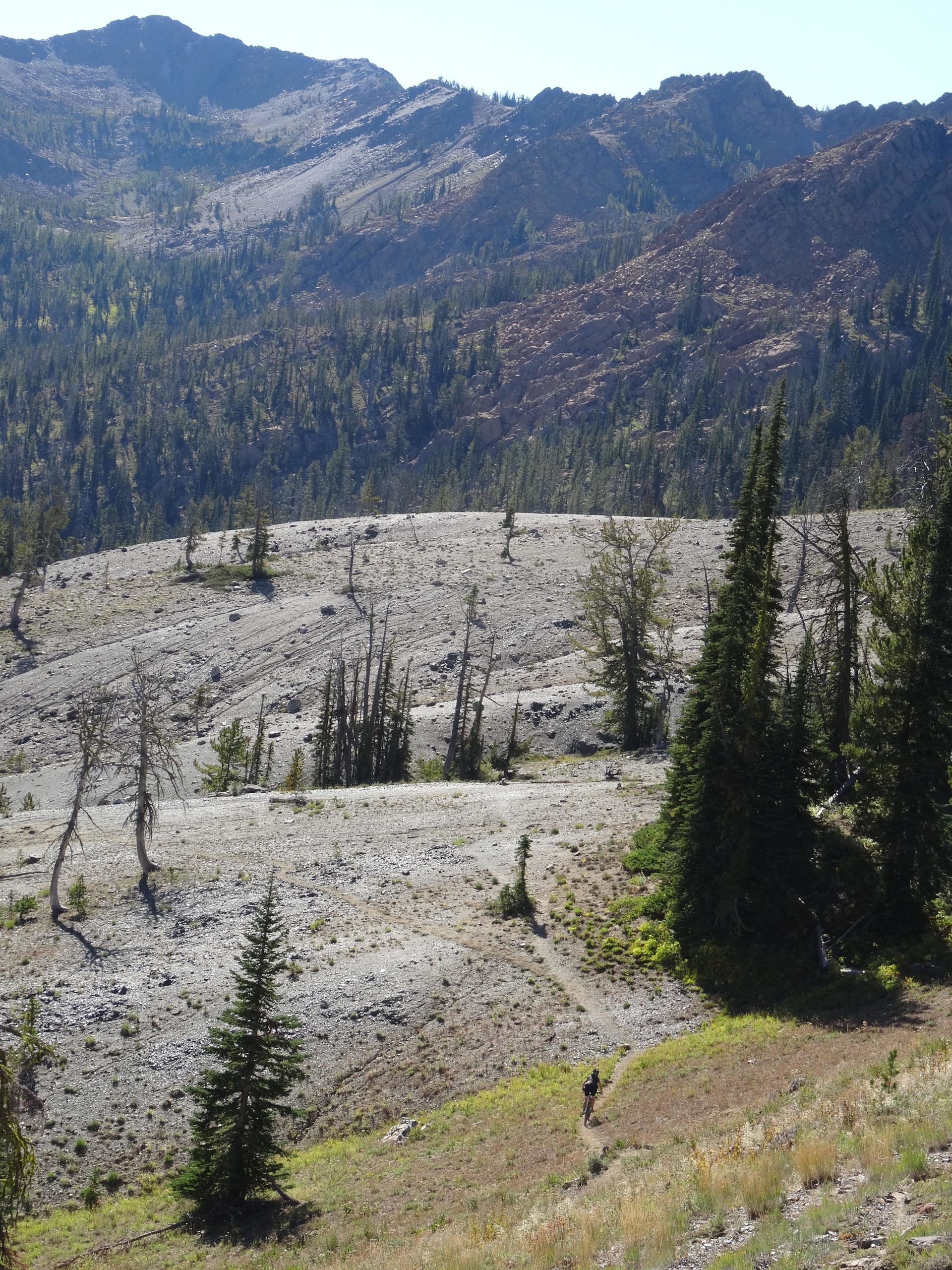 A hiker traverses a rocky landscape with sparse vegetation, surrounded by rugged mountain terrain under a clear blue sky. Tall, scattered trees dot the area, and a winding path leads into the distance. Stafford Creek #1359 mountain bike trail.