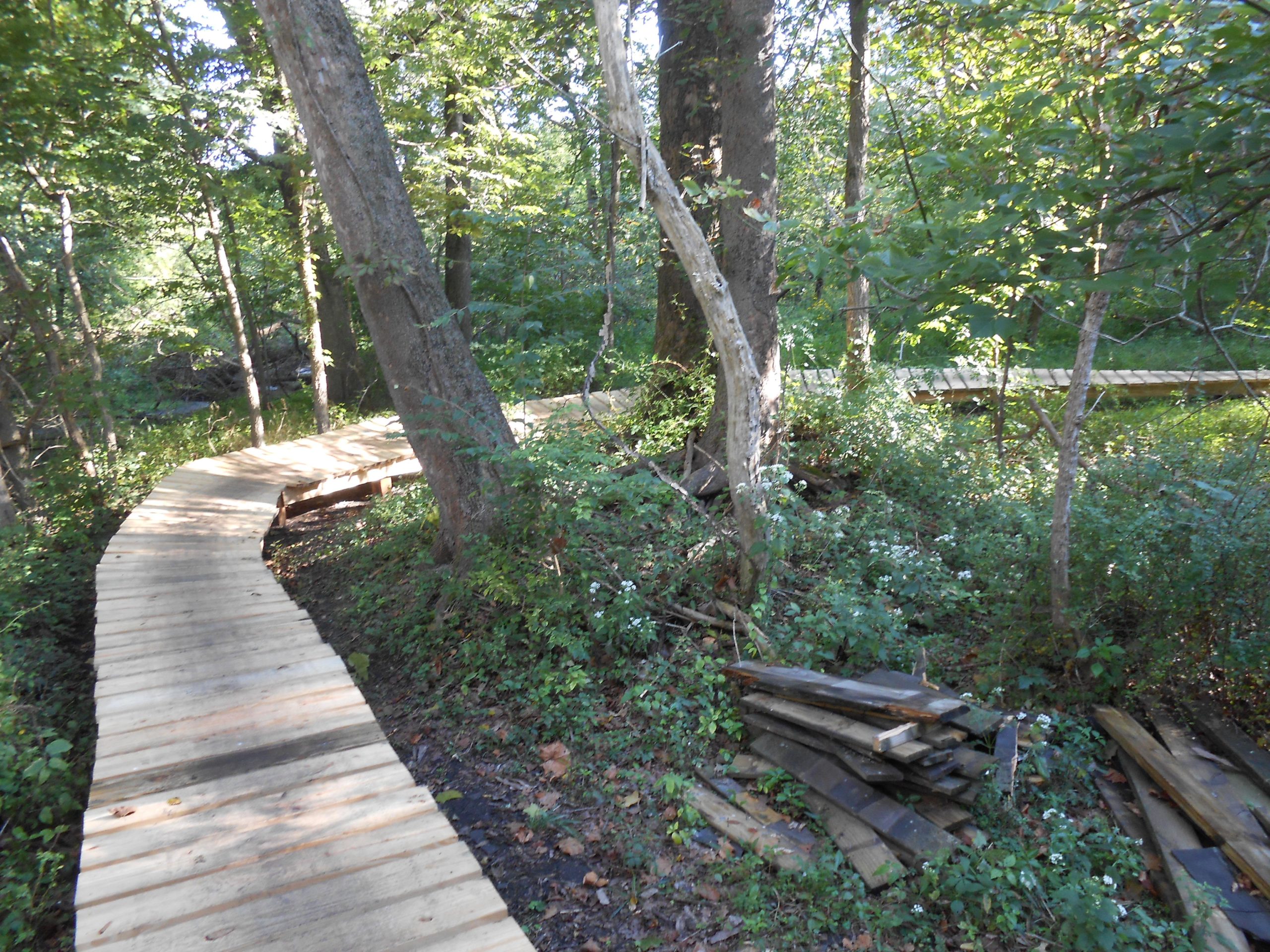 A wooden boardwalk winding through a lush, green forest, surrounded by trees and vegetation. The pathway curves gently, with patches of sunlight filtering through the leaves, and a pile of wooden planks is visible on the ground nearby. Winona Lake Trail mountain bike trail.