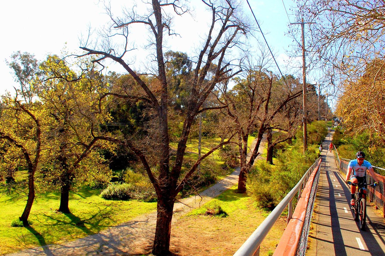 A path alongside a park with bare trees on either side, featuring two cyclists riding on a paved trail. The scene is bright and sunny, with green grass and shrubs visible in the background. Yarra Trails mountain bike trail.
