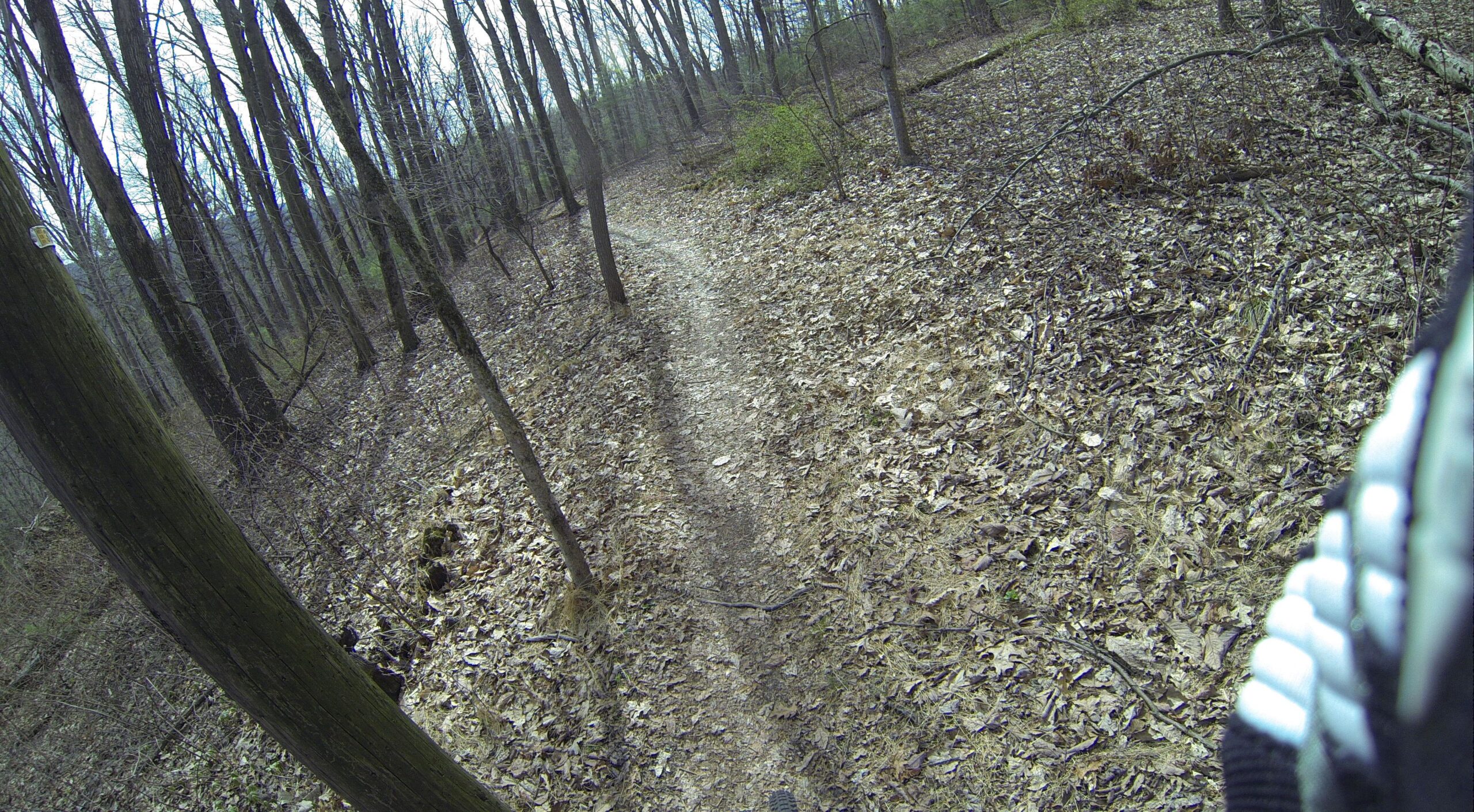 A winding dirt path through a wooded area, surrounded by tall trees with bare branches and a carpet of fallen leaves on the ground. The scene captures a peaceful, natural landscape, ideal for hiking or biking.