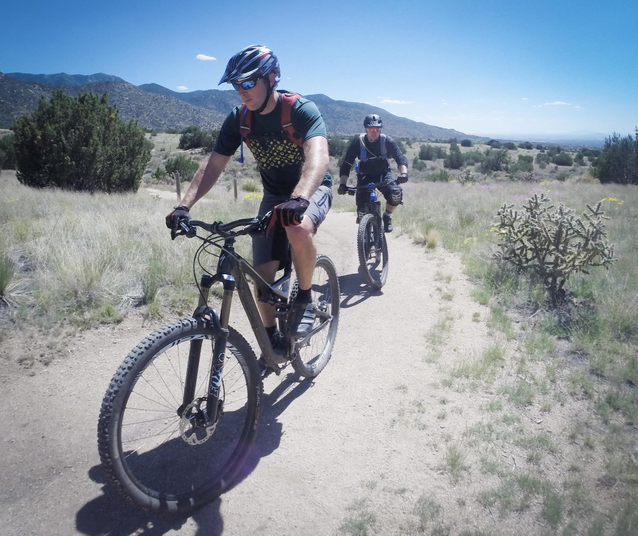 Two mountain bikers ride along a dirt trail in a scenic landscape, surrounded by grassy fields and distant mountains under a clear blue sky. One rider, wearing sunglasses and a helmet, is focused on the path ahead, while the other trails closely behind. A cactus is visible in the foreground, adding to the natural setting. Sandia Mountains Foothill Trail mountain bike trail.