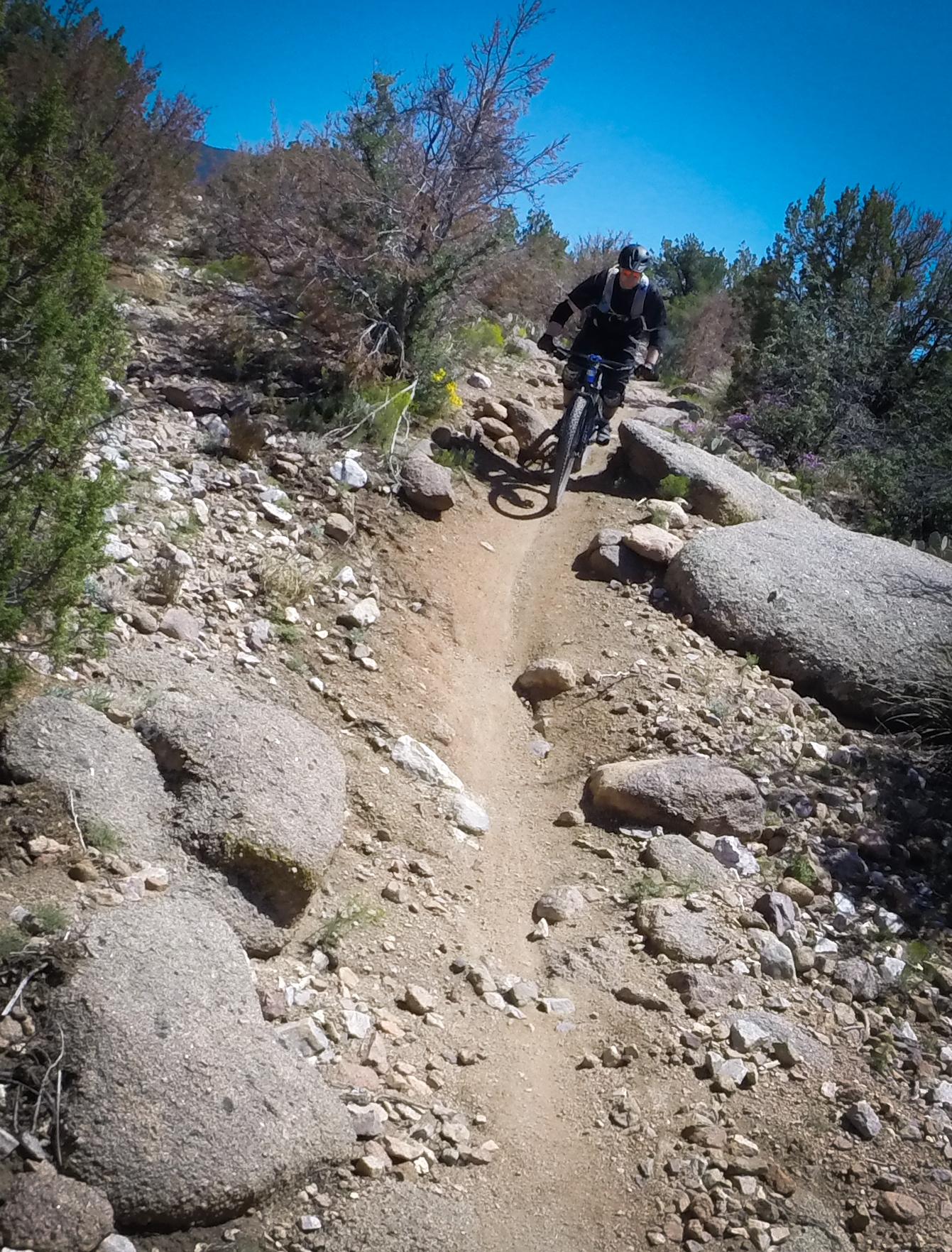 A cyclist riding along a narrow, winding dirt trail surrounded by rocky terrain and sparse vegetation under a clear blue sky. Sandia Mountains Foothill Trail mountain bike trail.