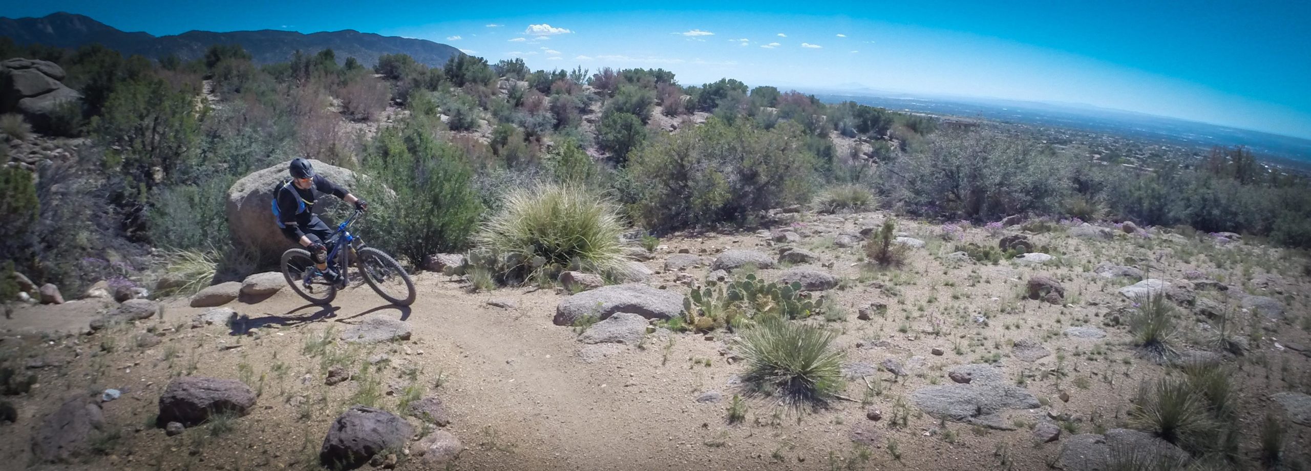 A mountain biker navigates a rocky trail surrounded by vibrant desert vegetation, with distant mountains and a clear blue sky in the background. The cyclist leans into a turn, showcasing the dynamic action of the sport. Sandia Mountains Foothill Trail mountain bike trail.