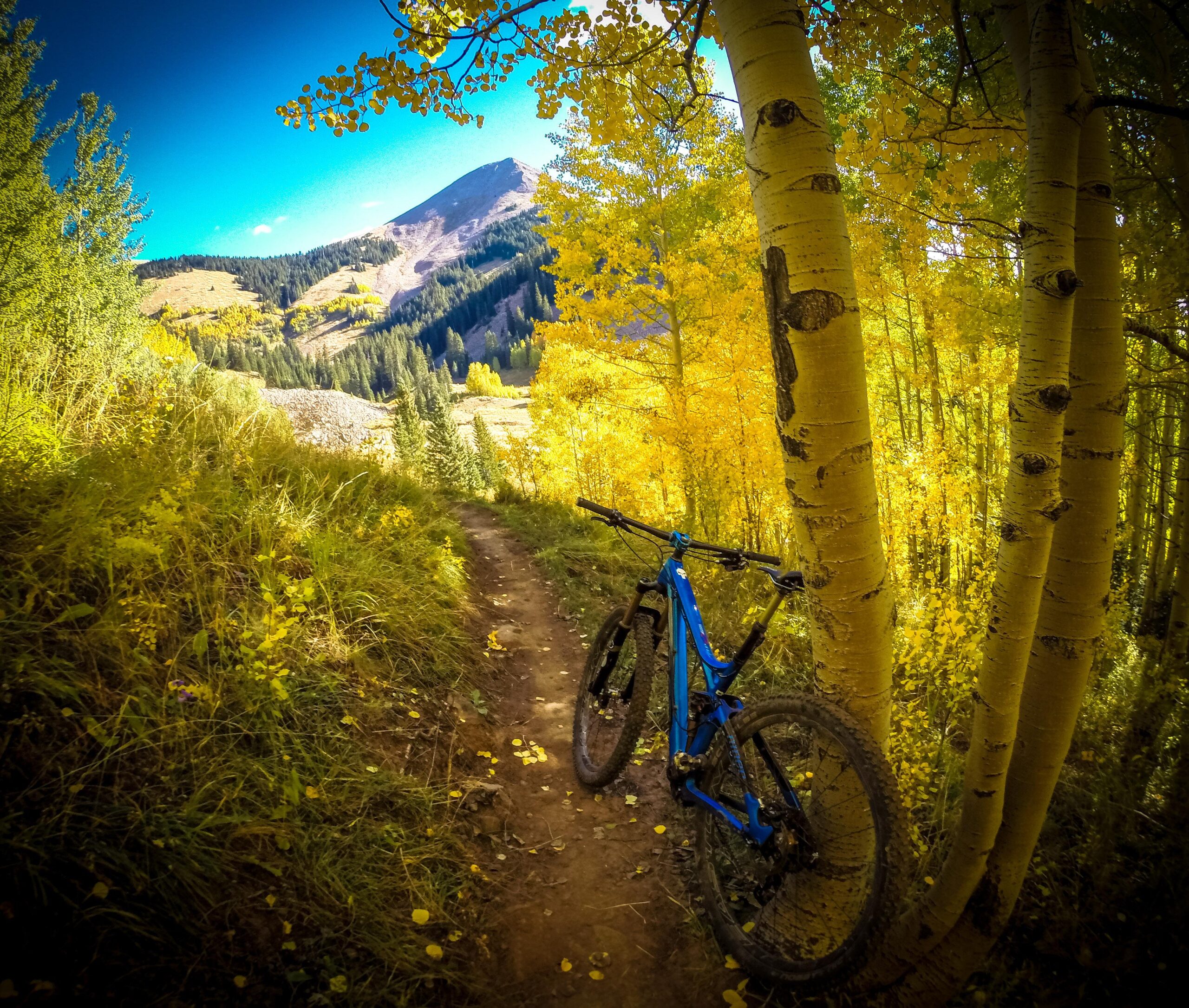 A blue mountain bike leans against a tree along a dirt trail surrounded by vibrant autumn foliage. In the background, a picturesque mountain landscape is visible under a clear blue sky. The Whole Enchilada mountain bike trail.