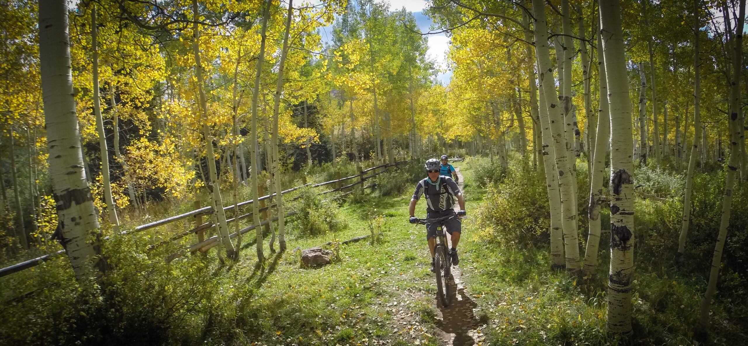 A mountain biker riding along a narrow trail through a vibrant forest with tall, slender aspen trees displaying bright yellow leaves. Sunlight filters through the canopy, illuminating the lush greenery and creating a picturesque autumn scene. A wooden fence runs alongside the path, adding to the natural beauty. The Whole Enchilada mountain bike trail.