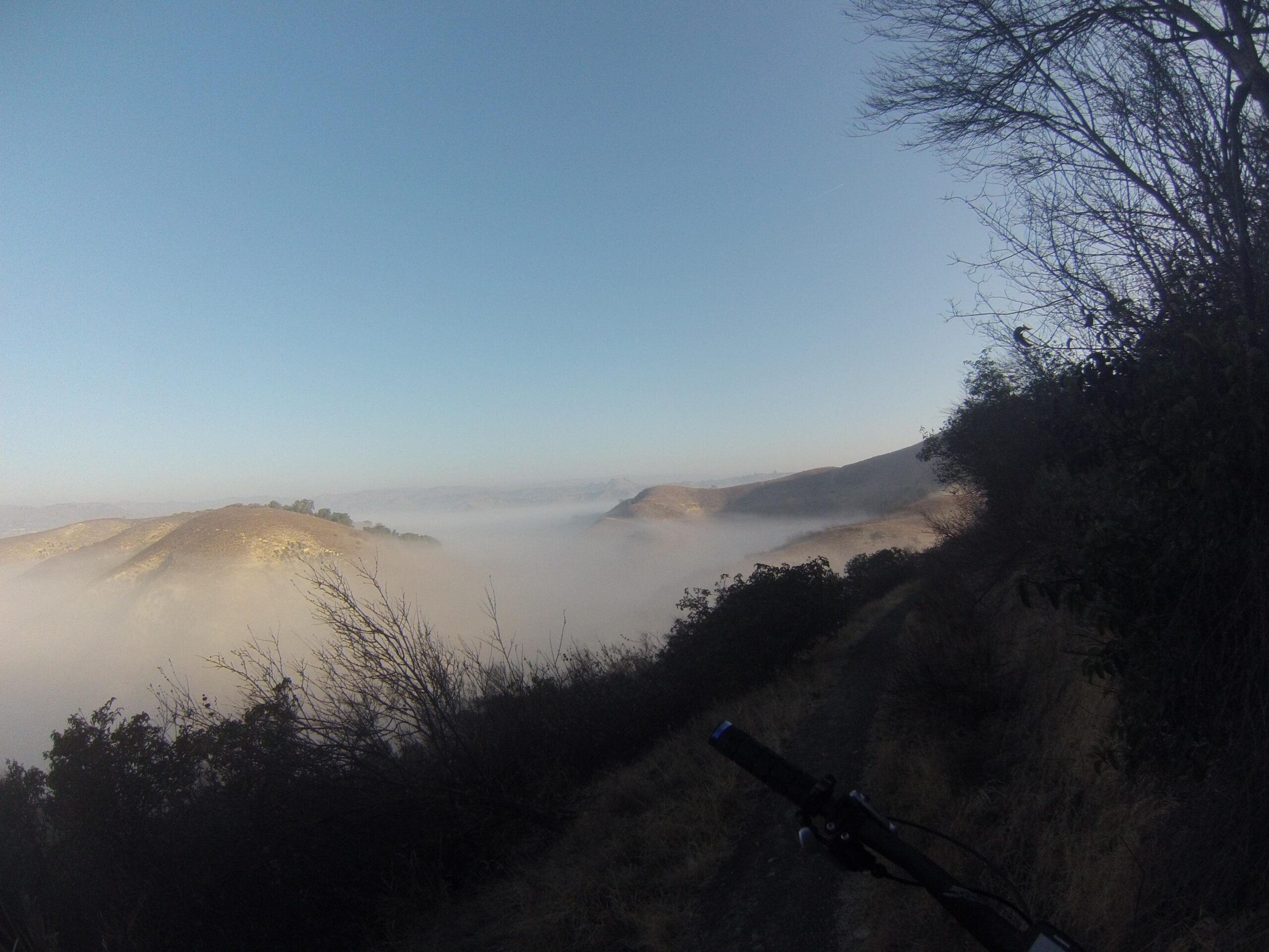 A scenic view of rolling hills shrouded in fog, with a clear blue sky above. The foreground features a bike handlebar, suggesting a mountain biking trail. Dense vegetation borders the path, enhancing the natural atmosphere of the landscape. New Millennium Loop mountain bike trail.