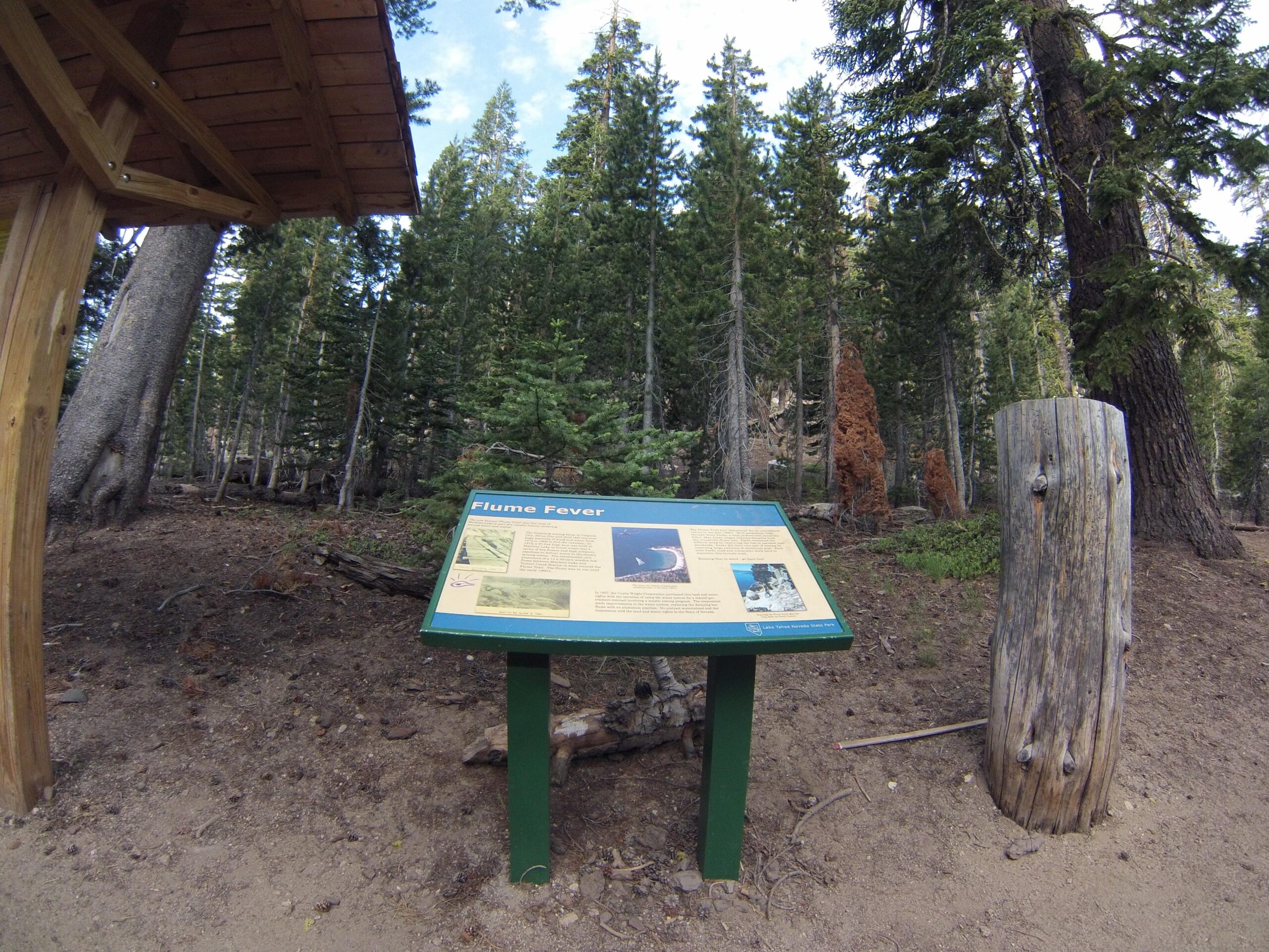 A wooden information sign titled "Flume Fever" stands in a forest clearing, surrounded by tall pine trees. The sign features text and images related to flumes and their significance, along with a weathered wooden post nearby. The ground is covered with dirt and small pine needles, and the sky is partly cloudy. Flume Trail mountain bike trail.