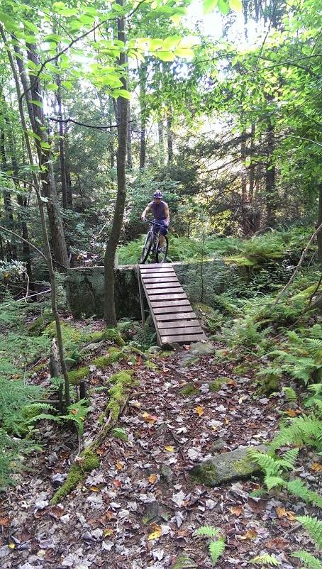 A mountain biker is preparing to ride down a wooden ramp in a dense forest. The scene is filled with lush green foliage and scattered fallen leaves on the ground, with sunlight filtering through the trees. The biker is wearing a helmet and is positioned on a bike at the edge of the ramp, which leads over a moss-covered rock. Big Bear Lake Trail Center mountain bike trail.