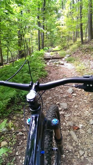 Mountain bike handlebars viewed from the rider's perspective, set against a lush, green forest trail. The path is rocky and lined with ferns, with sunlight filtering through the trees above, creating a serene outdoor scene. Gambrill State Park mountain bike trail.